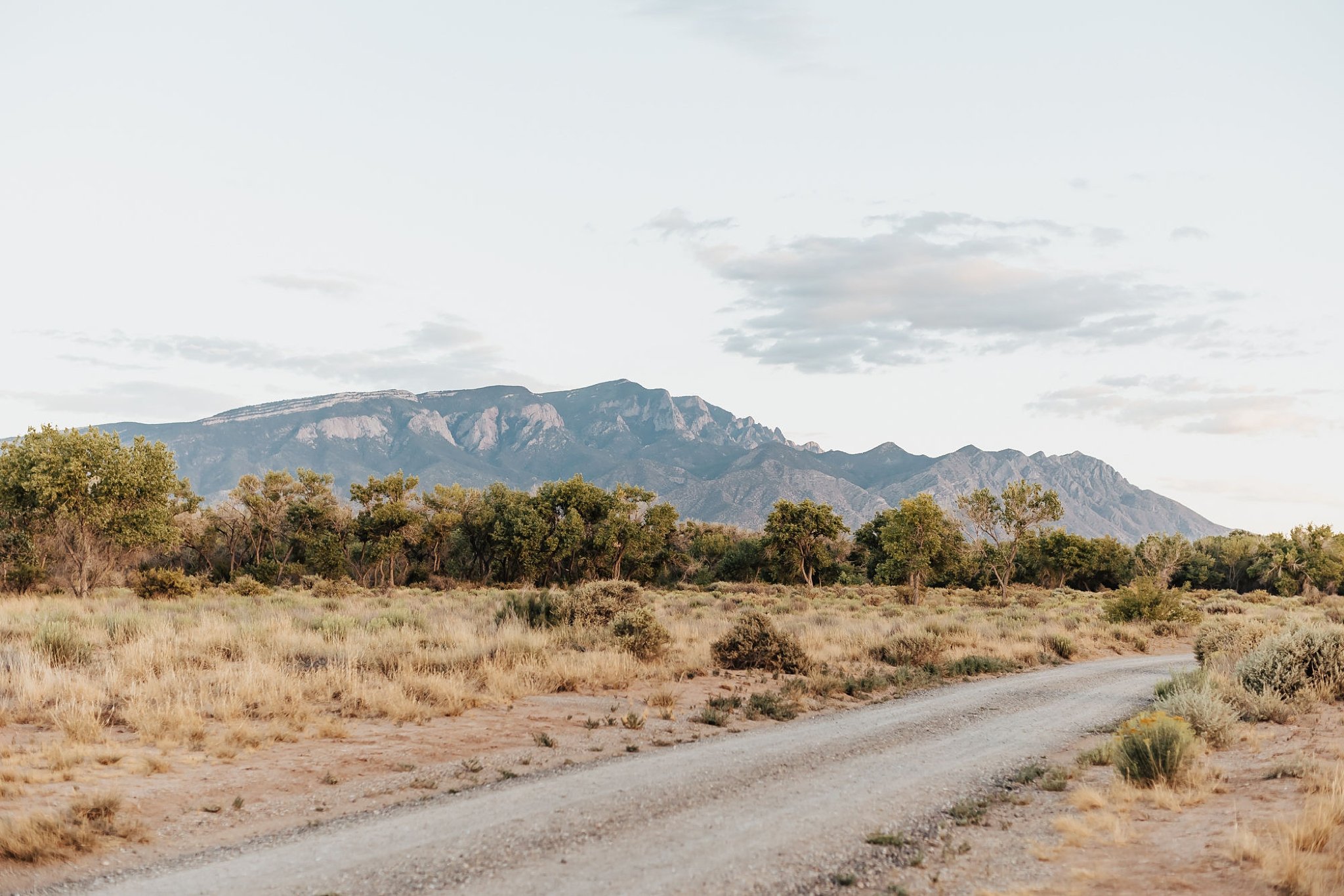 Alicia+lucia+photography+-+albuquerque+wedding+photographer+-+santa+fe+wedding+photography+-+new+mexico+wedding+photographer+-+new+mexico+wedding+-+desert+wedding+-+tamaya+wedding+-+southwest+wedding_0001.jpg