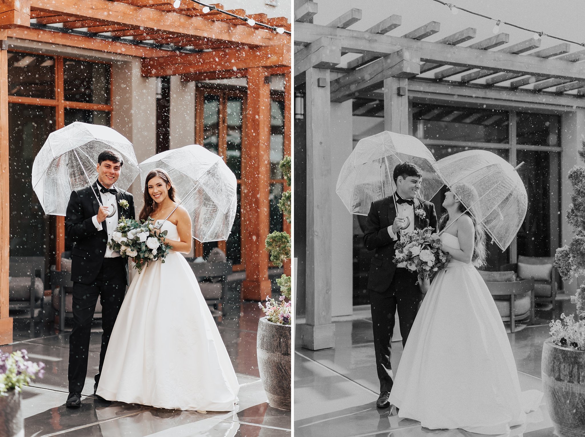 Alicia+lucia+photography+-+albuquerque+wedding+photographer+-+santa+fe+wedding+photography+-+new+mexico+wedding+photographer+-+new+mexico+wedding+-+santa+fe+wedding+-+four+seasons+wedding+-+southwest+wedding_0050.jpg