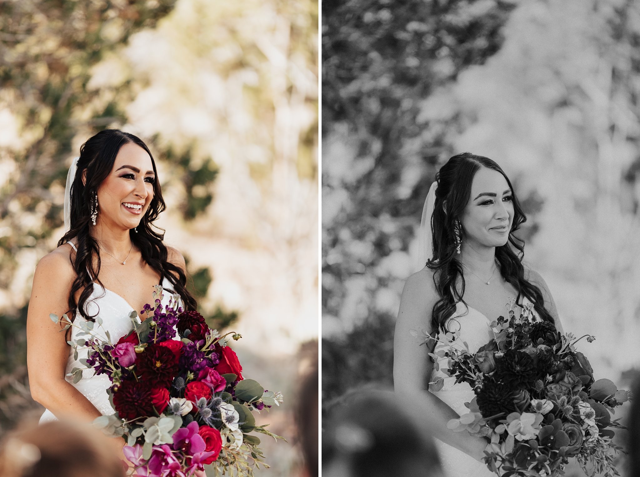 Alicia+lucia+photography+-+albuquerque+wedding+photographer+-+santa+fe+wedding+photography+-+new+mexico+wedding+photographer+-+new+mexico+wedding+-+backyard+wedding+-+santa+fe+wedding+-+jewel+tone+wedding_0019.jpg