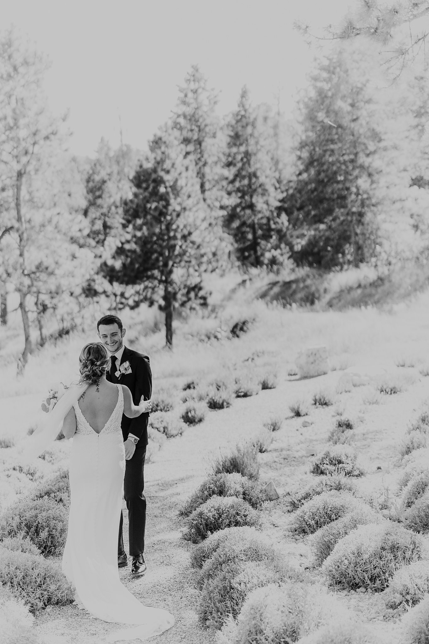 Alicia+lucia+photography+-+albuquerque+wedding+photographer+-+santa+fe+wedding+photography+-+new+mexico+wedding+photographer+-+new+mexico+wedding+-+colorado+wedding+-+morrison+wedding+-+woodlands+wedding_0034.jpg