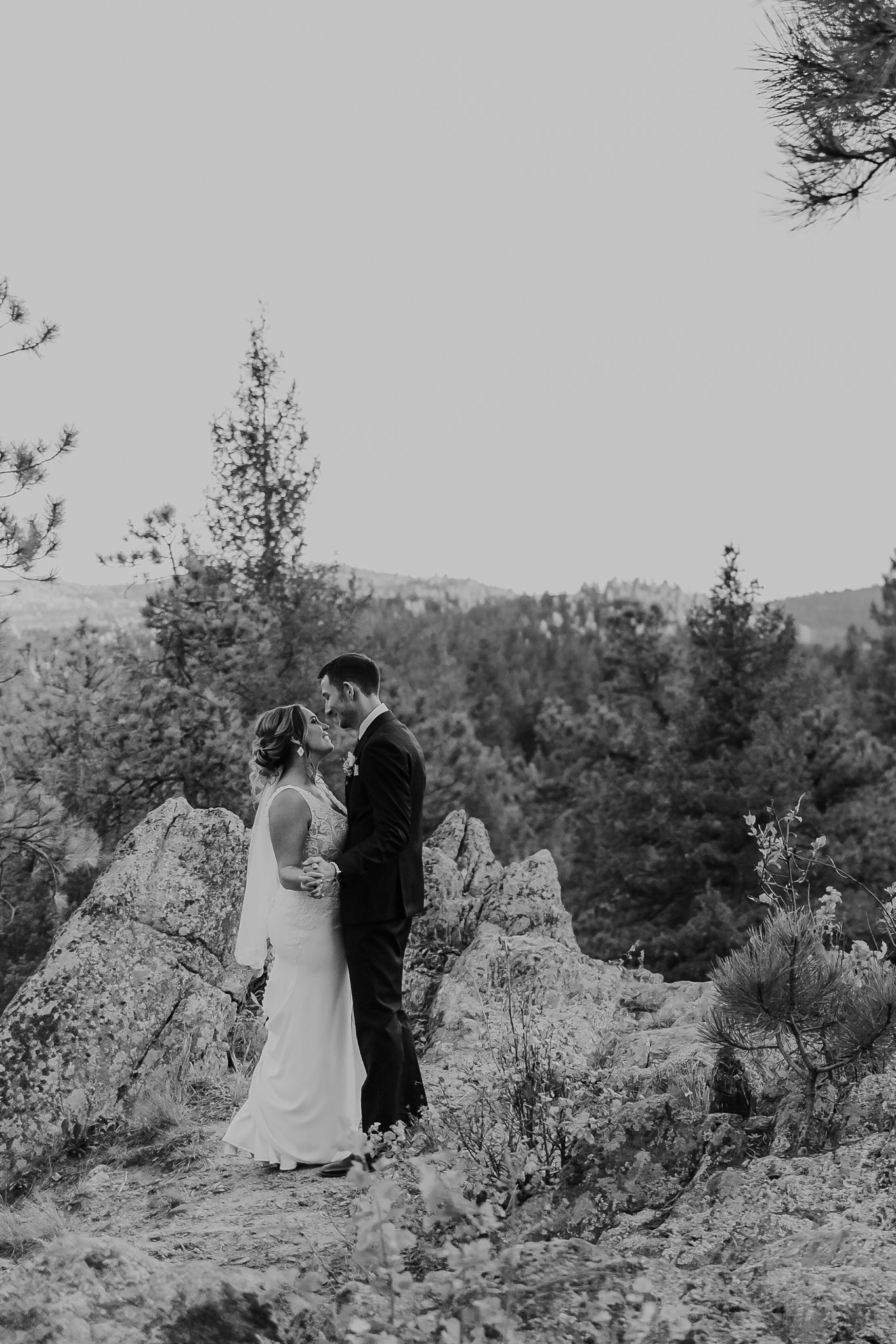 Alicia+lucia+photography+-+albuquerque+wedding+photographer+-+santa+fe+wedding+photography+-+new+mexico+wedding+photographer+-+new+mexico+wedding+-+colorado+wedding+-+morrison+wedding+-+woodlands+wedding_0116.jpg