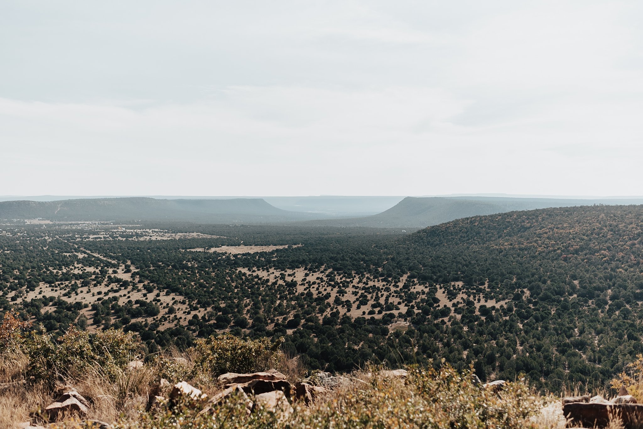 Alicia+lucia+photography+-+albuquerque+wedding+photographer+-+santa+fe+wedding+photography+-+new+mexico+wedding+photographer+-+new+mexico+wedding+-+blame+her+ranch+-+ranch+wedding+-+blame+her+ranch+wedding_0028.jpg