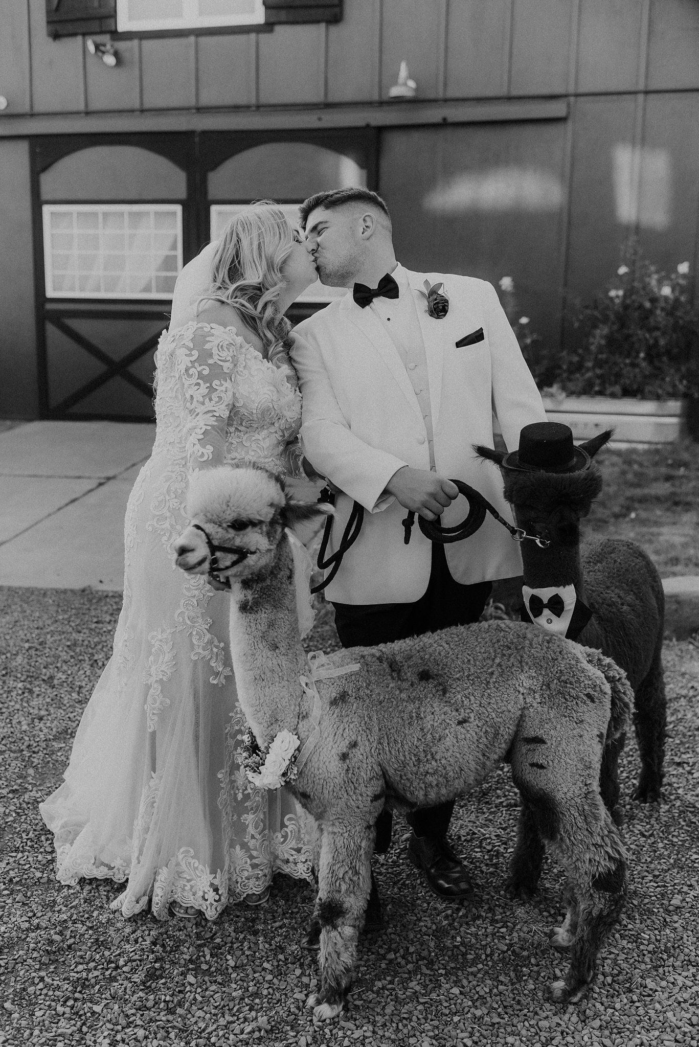 Alicia+lucia+photography+-+albuquerque+wedding+photographer+-+santa+fe+wedding+photography+-+new+mexico+wedding+photographer+-+new+mexico+wedding+-+blame+her+ranch+-+ranch+wedding+-+blame+her+ranch+wedding_0064.jpg