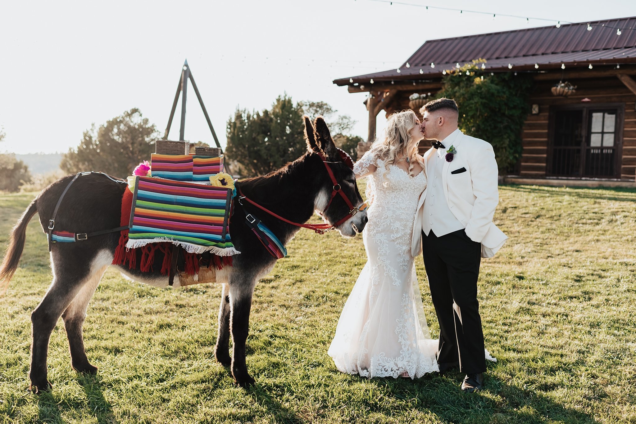 Alicia+lucia+photography+-+albuquerque+wedding+photographer+-+santa+fe+wedding+photography+-+new+mexico+wedding+photographer+-+new+mexico+wedding+-+blame+her+ranch+-+ranch+wedding+-+blame+her+ranch+wedding_0131.jpg