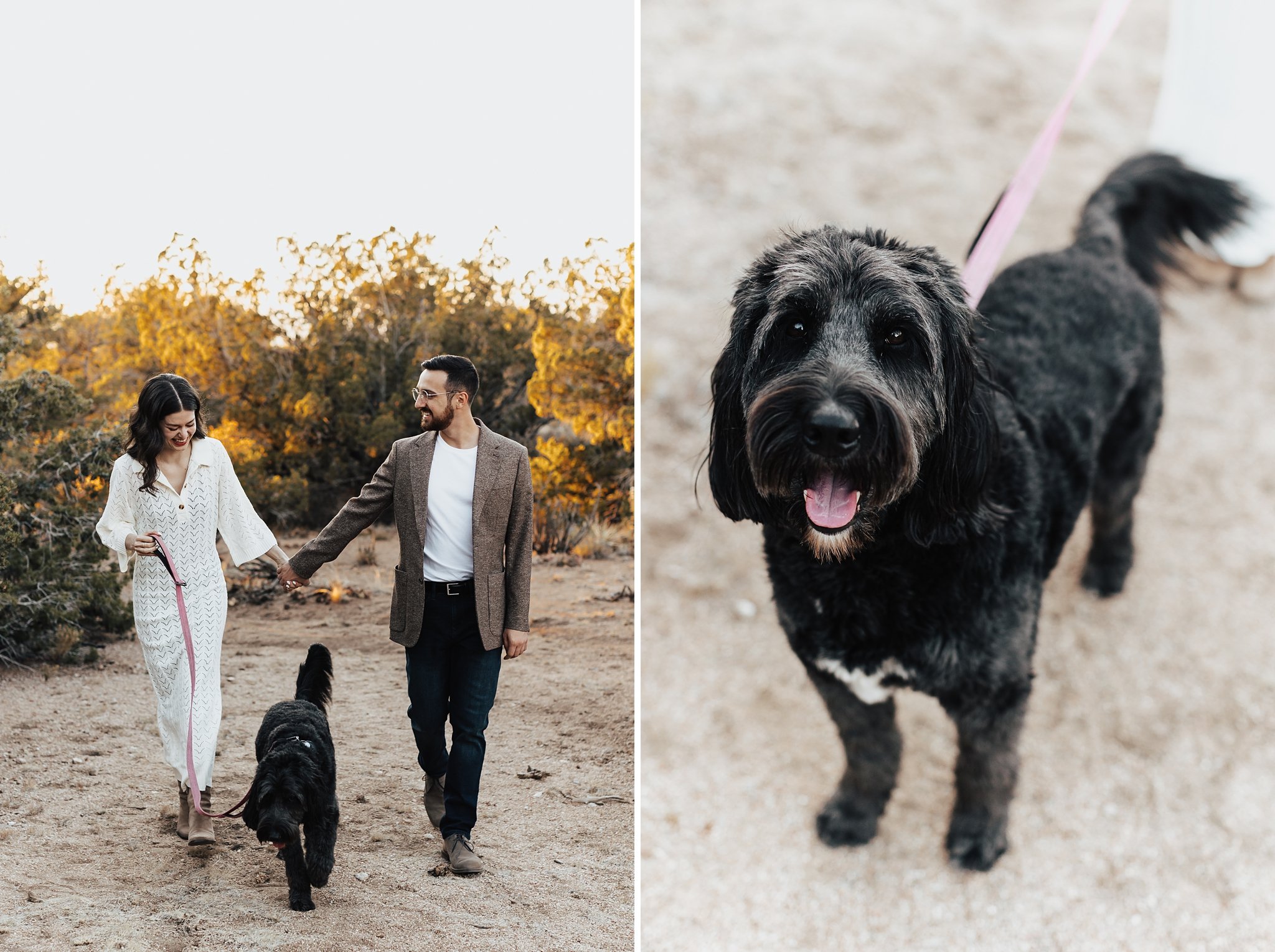 Alicia+lucia+photography+-+albuquerque+wedding+photographer+-+santa+fe+wedding+photography+-+new+mexico+wedding+photographer+-+new+mexico+wedding+-+taos+wedding+-+taos+engagement+-+desert+engagement_0014.jpg