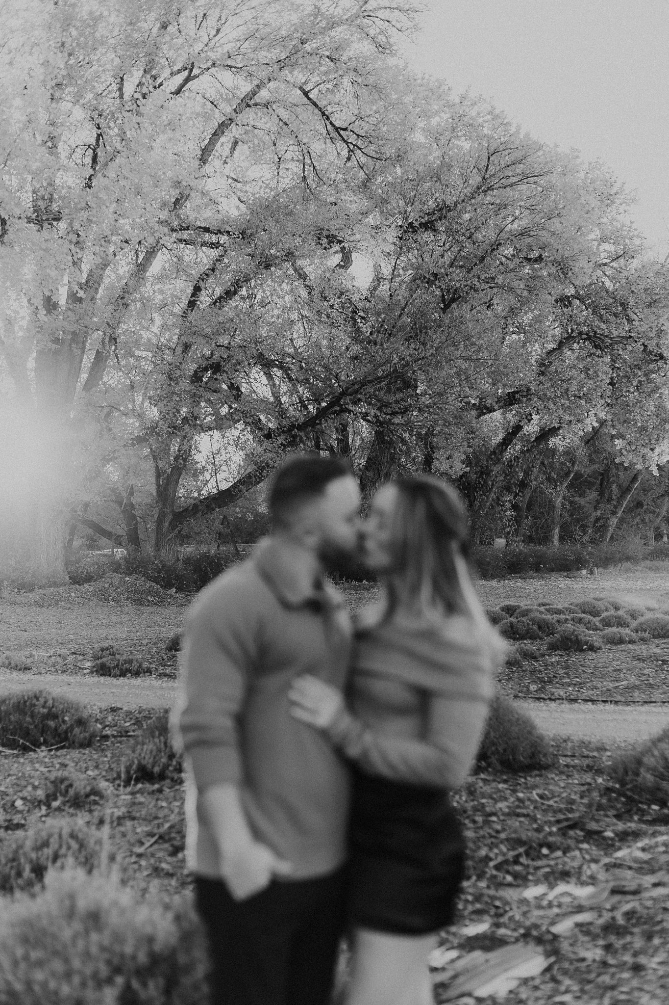 Alicia+lucia+photography+-+albuquerque+wedding+photographer+-+santa+fe+wedding+photography+-+new+mexico+wedding+photographer+-+new+mexico+wedding+-+los+poblanos+-+proposal+-+surprise+proposal_0065.jpg