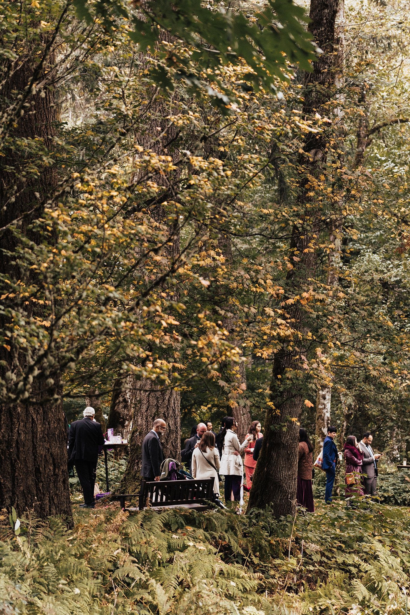 Alicia+lucia+photography+-+albuquerque+wedding+photographer+-+santa+fe+wedding+photography+-+new+mexico+wedding+photographer+-+new+mexico+wedding+-+bridal+veil+lakes+-+portland+wedding+-+oregon+wedding_0148.jpg