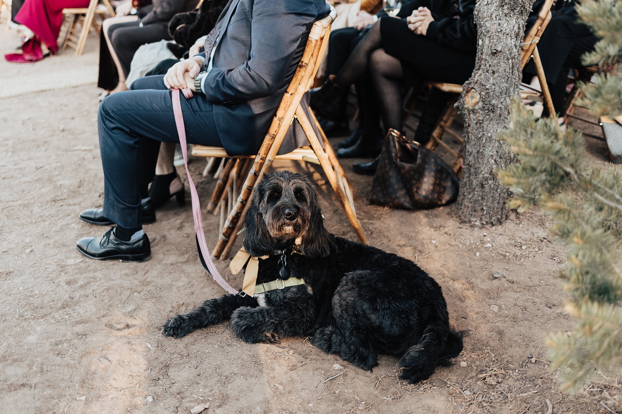 Alicia+lucia+photography+-+albuquerque+wedding+photographer+-+santa+fe+wedding+photography+-+new+mexico+wedding+photographer+-+new+mexico+wedding+-+taos+wedding+-+stakeout+taos+wedding+-+stakeout+wedding_0072.jpg