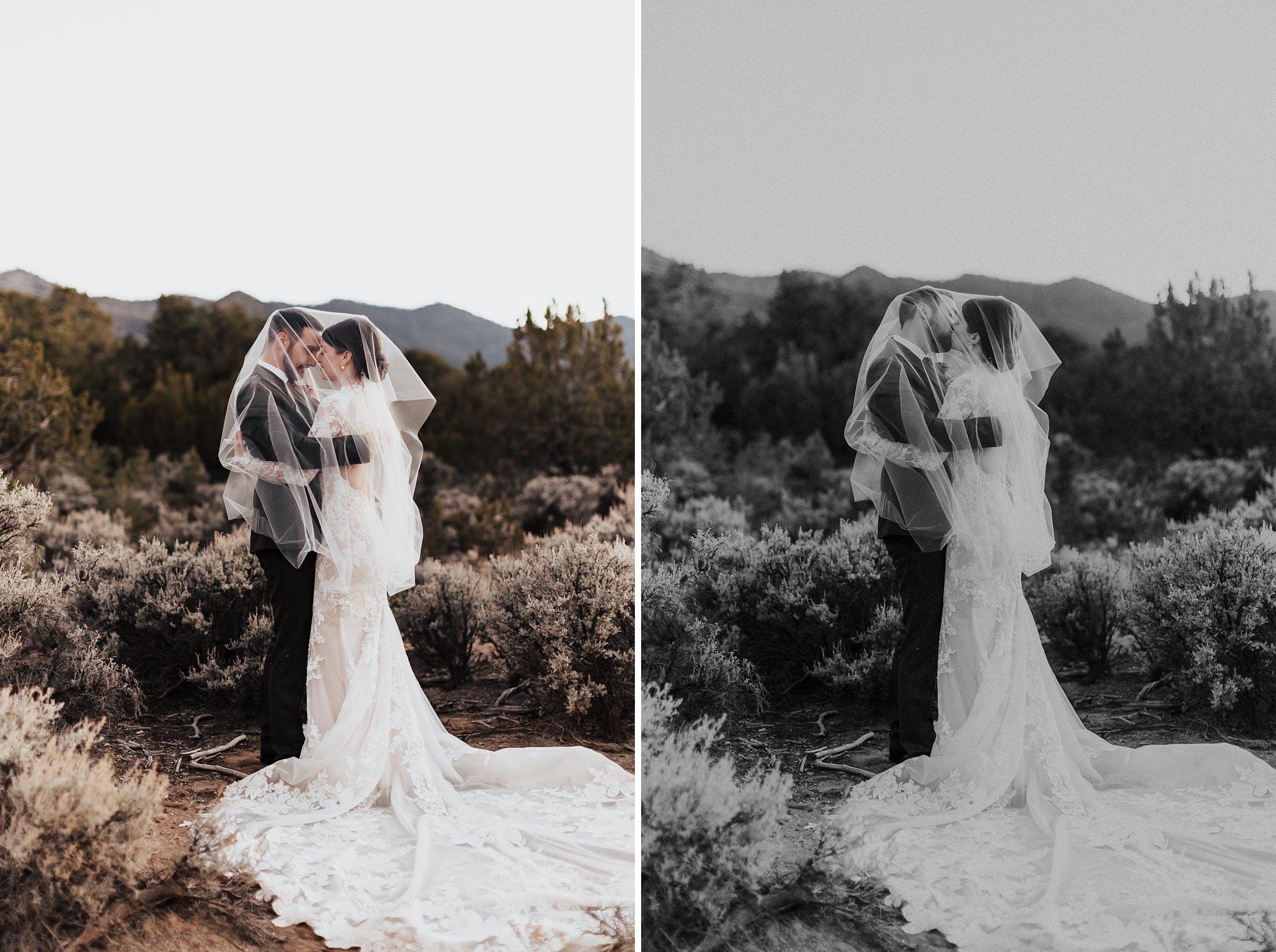 Alicia+lucia+photography+-+albuquerque+wedding+photographer+-+santa+fe+wedding+photography+-+new+mexico+wedding+photographer+-+new+mexico+wedding+-+taos+wedding+-+stakeout+taos+wedding+-+stakeout+wedding_0131.jpg