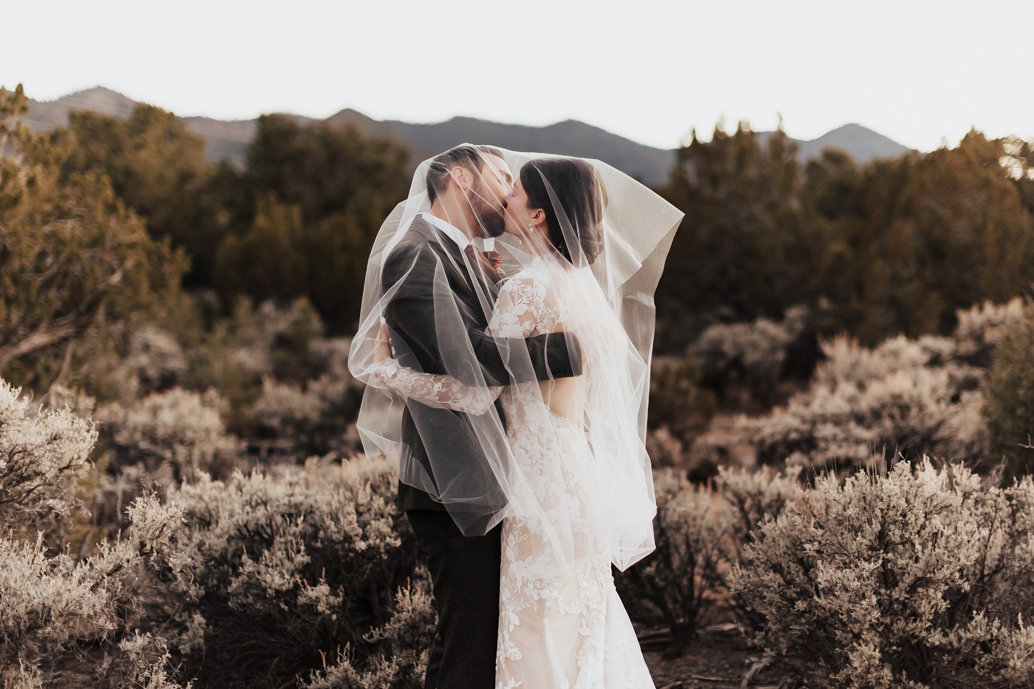 Alicia+lucia+photography+-+albuquerque+wedding+photographer+-+santa+fe+wedding+photography+-+new+mexico+wedding+photographer+-+new+mexico+wedding+-+taos+wedding+-+stakeout+taos+wedding+-+stakeout+wedding_0132.jpg