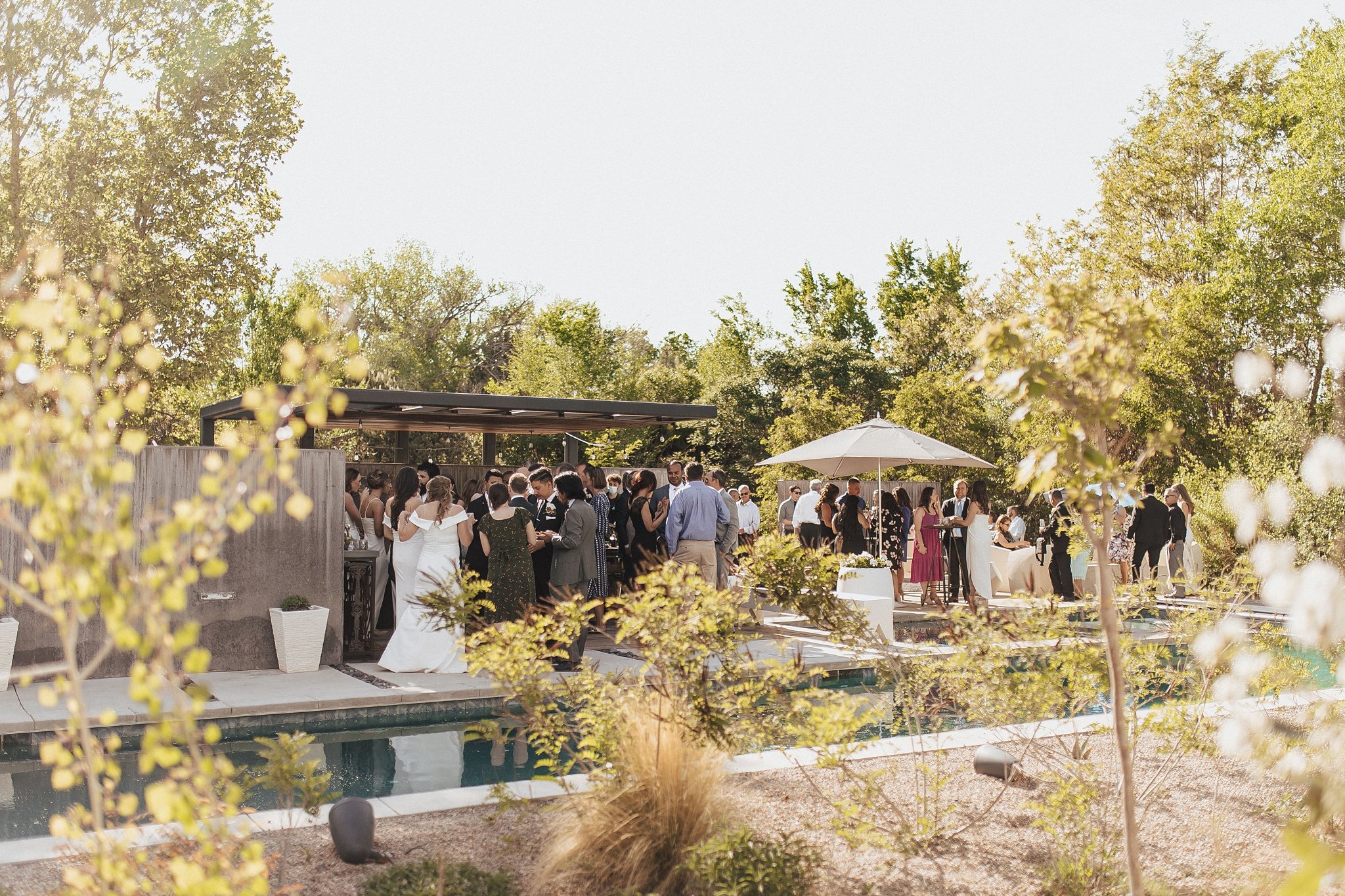 Alicia+lucia+photography+-+albuquerque+wedding+photographer+-+santa+fe+wedding+photography+-+new+mexico+wedding+photographer+-+new+mexico+wedding+-+backyard+wedding+-+southwest+wedding+-+destination+wedding_0110.jpg