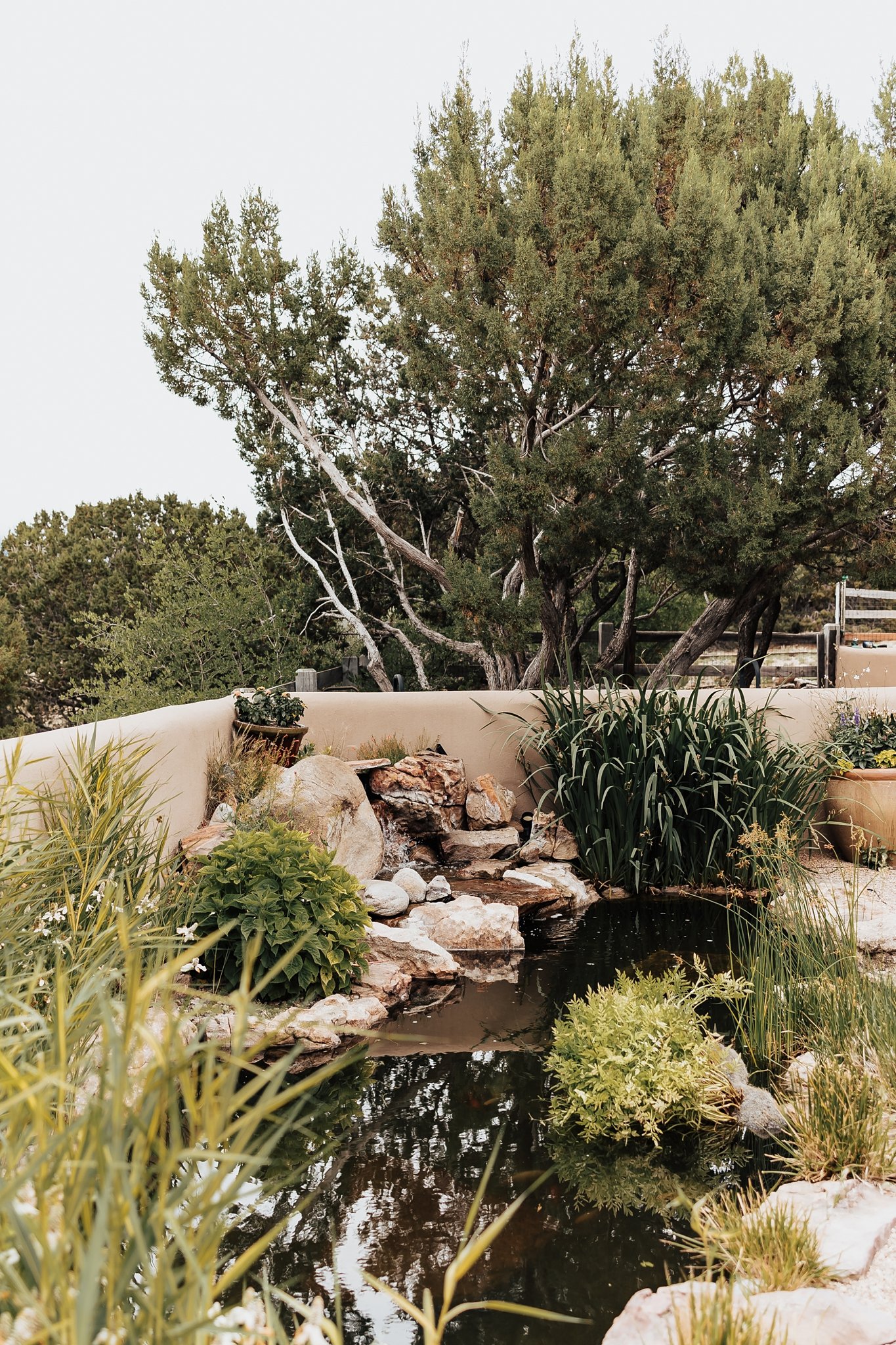 Alicia+lucia+photography+-+albuquerque+wedding+photographer+-+santa+fe+wedding+photography+-+gerald+peters+-+gerald+peters+wedding+-+santa+fe+wedding_0089.jpg
