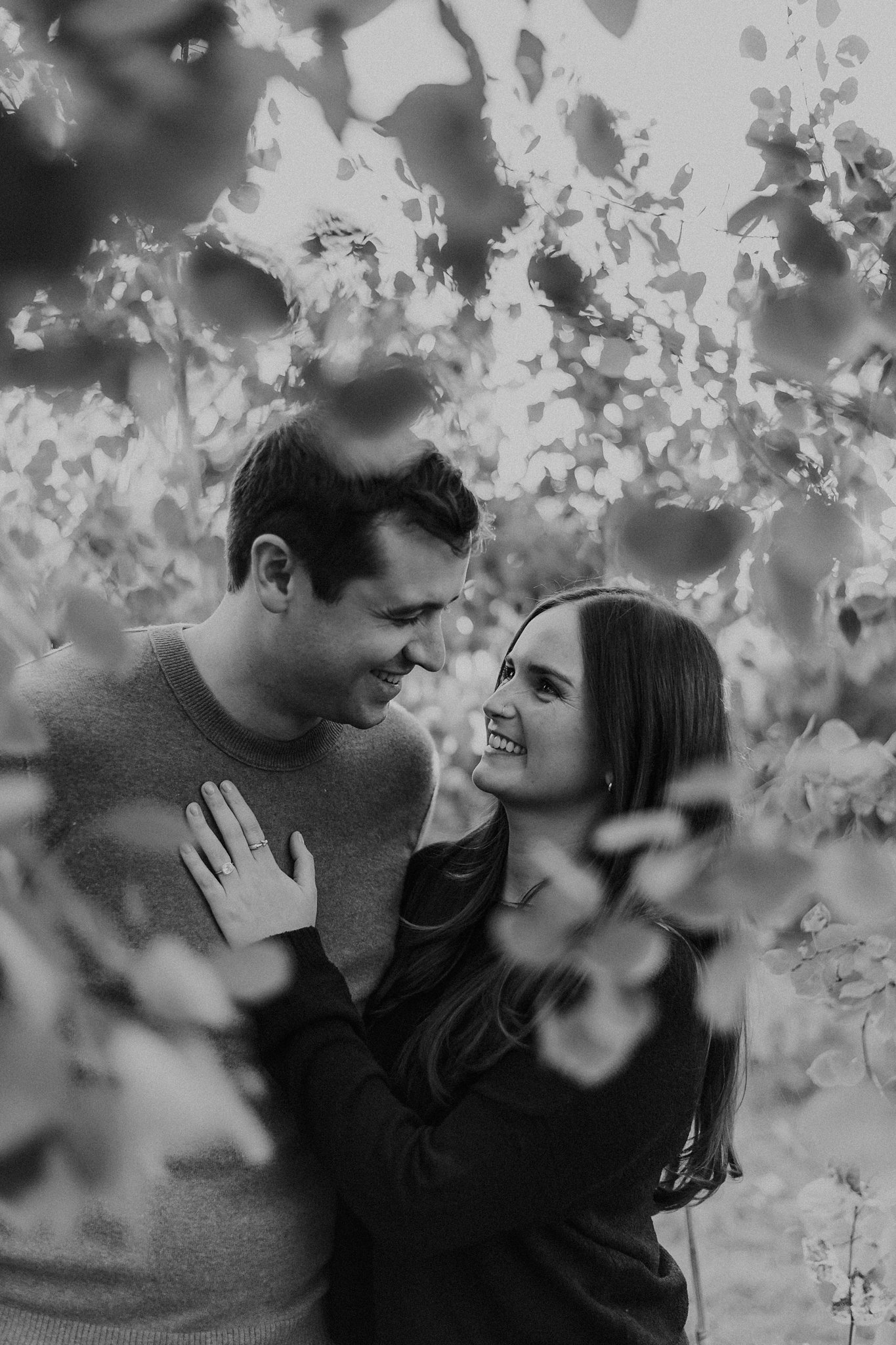 Alicia+lucia+photography+-+albuquerque+wedding+photographer+-+santa+fe+wedding+photography+-+santa+fe+engagement+-+backyard+engagement+-+southwest+engagement_0045.jpg