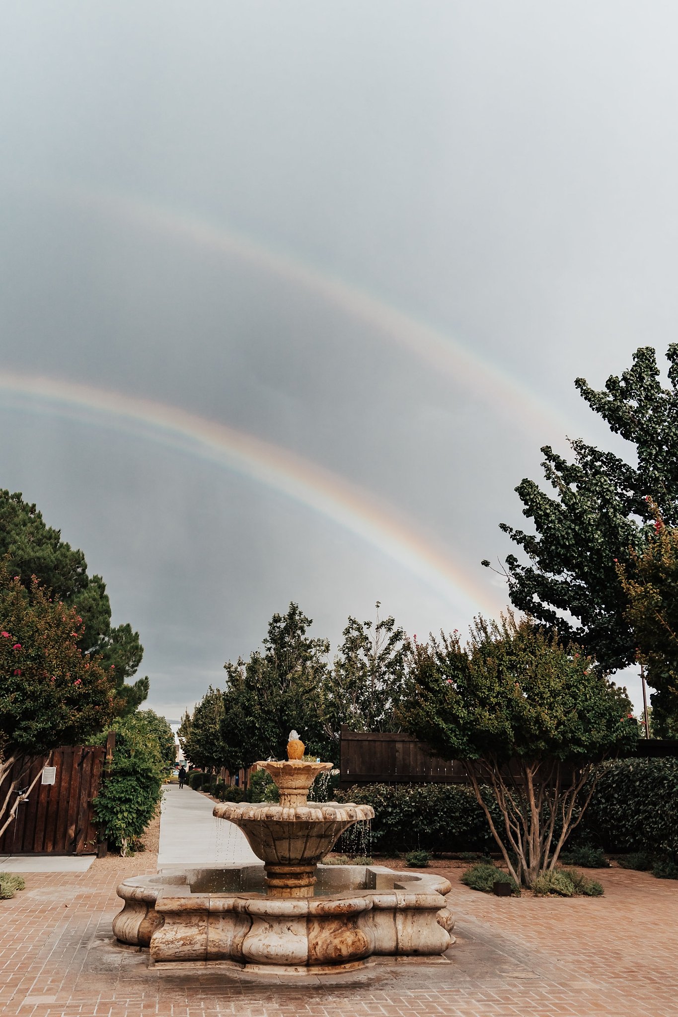 Alicia+lucia+photography+-+southwest+photographer+-+destination+wedding+-+garden+wedding_0010.jpg