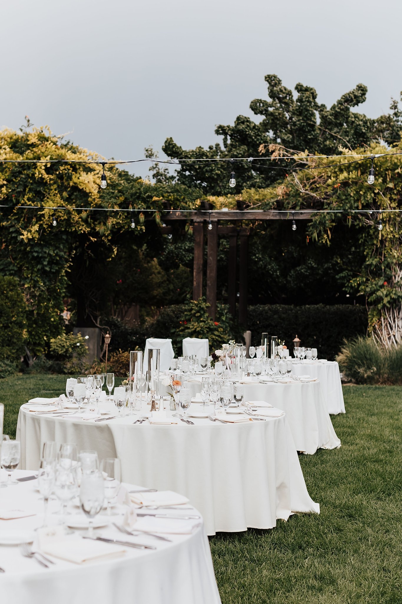 Alicia+lucia+photography+-+southwest+photographer+-+destination+wedding+-+garden+wedding_0014.jpg