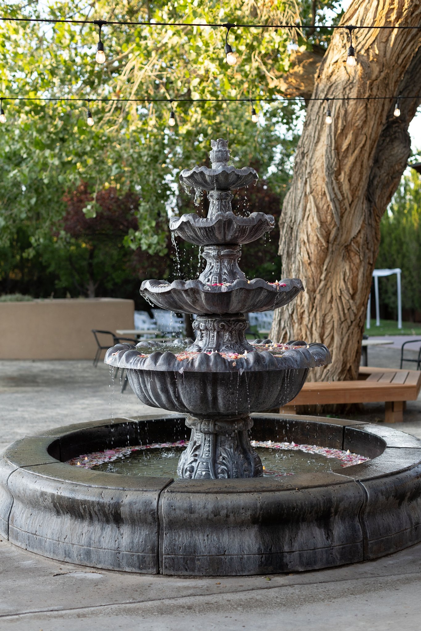 Alicia+lucia+photography+-+southwest+photographer+-+destination+wedding+-+garden+wedding_0045.jpg