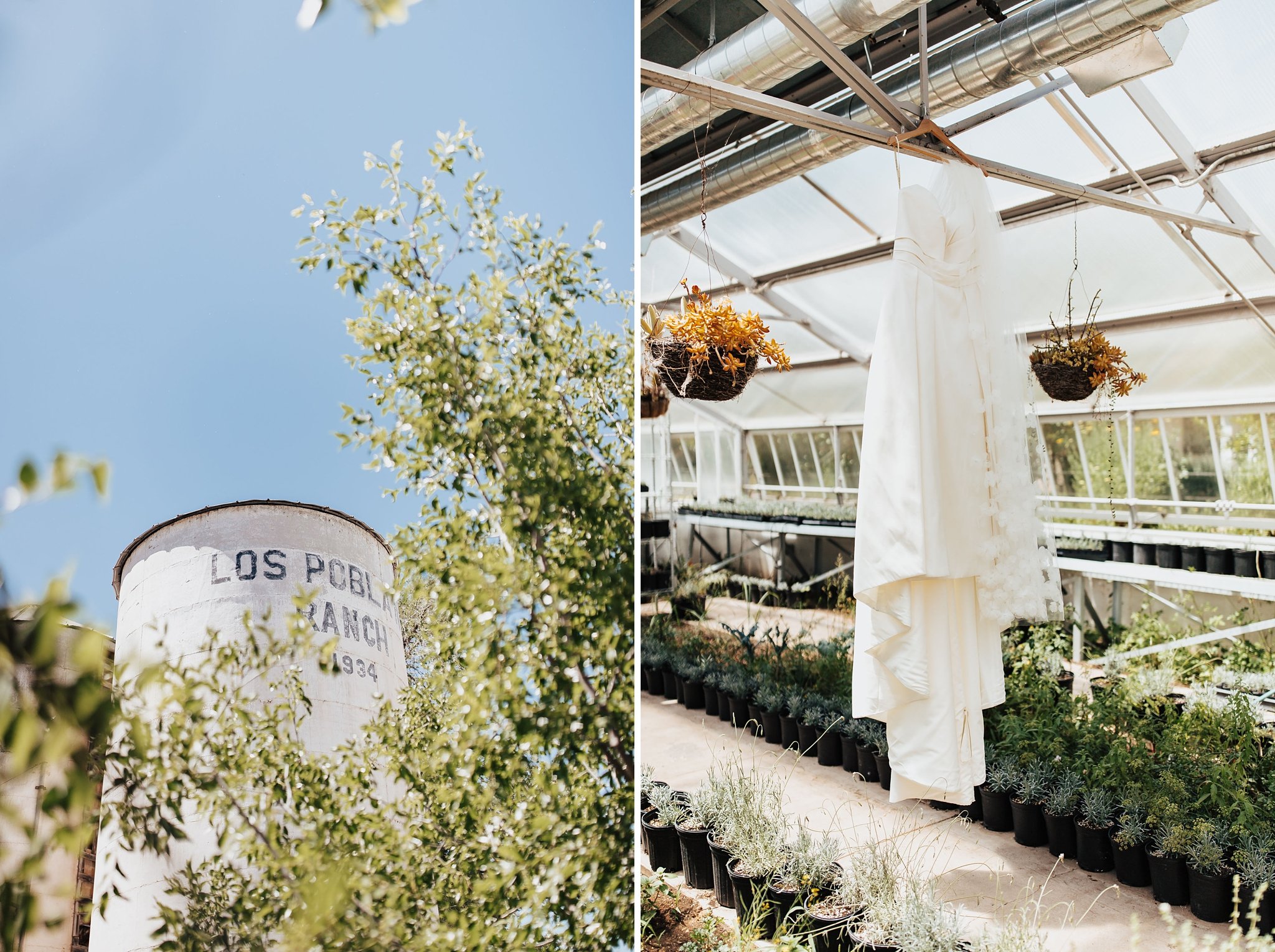 Alicia+lucia+photography+-+southwest+photographer+-+destination+wedding+-+garden+wedding_0053.jpg