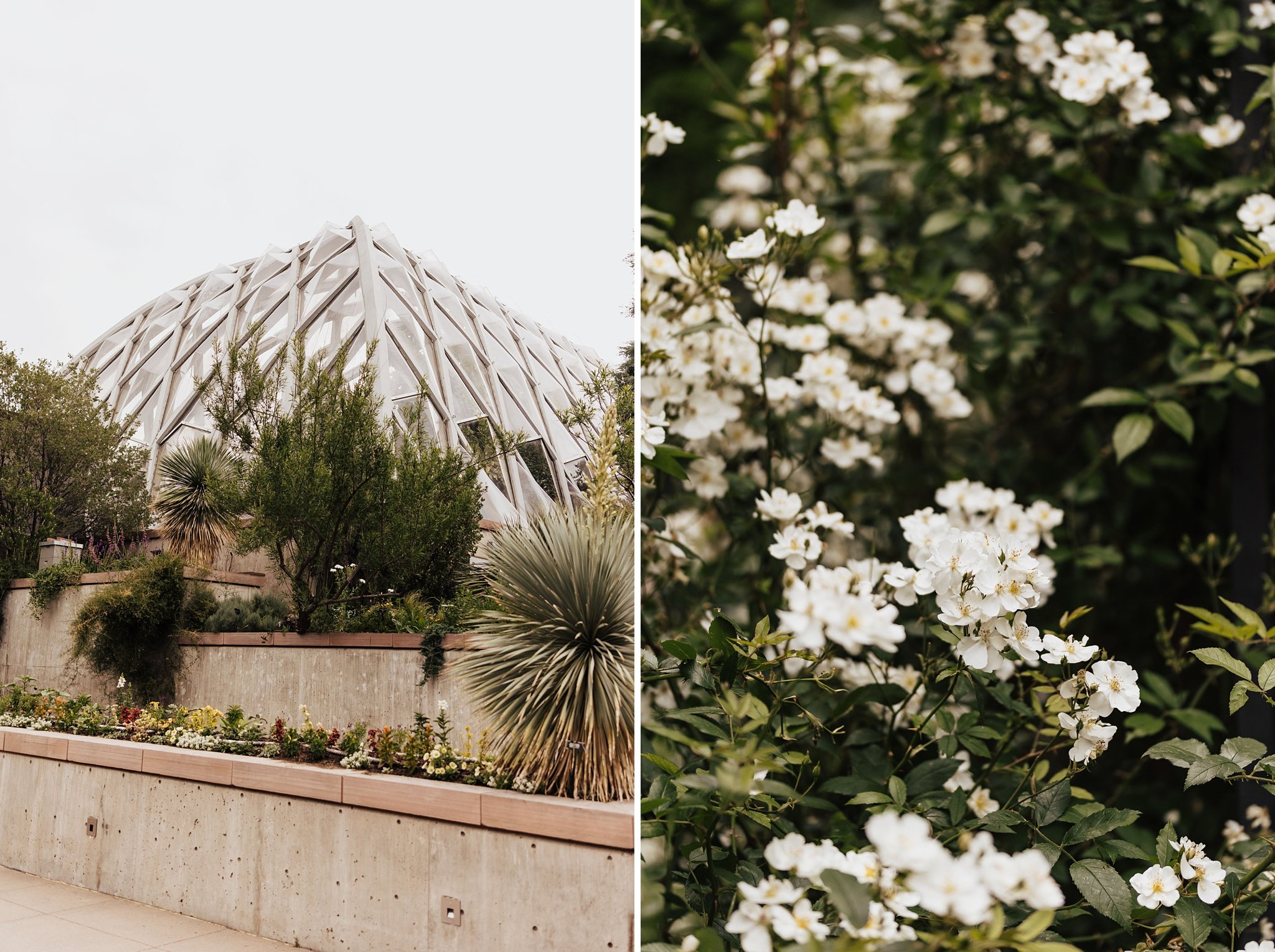 Alicia+lucia+photography+-+southwest+photographer+-+destination+wedding+-+garden+wedding_0103.jpg