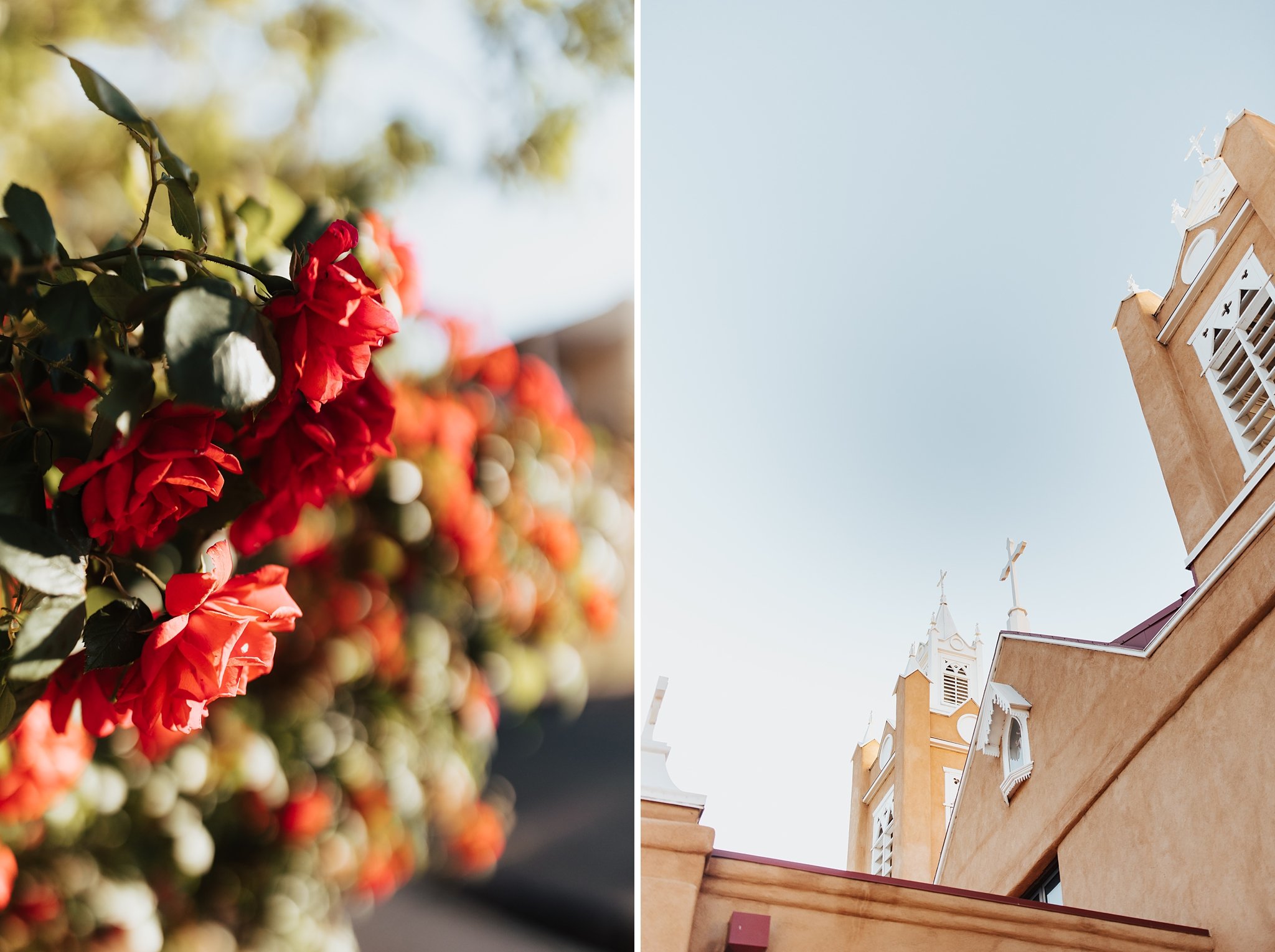 Alicia+lucia+photography+-+destination+wedding+-+graduation+portraits+-+graduation+session_0002.jpg