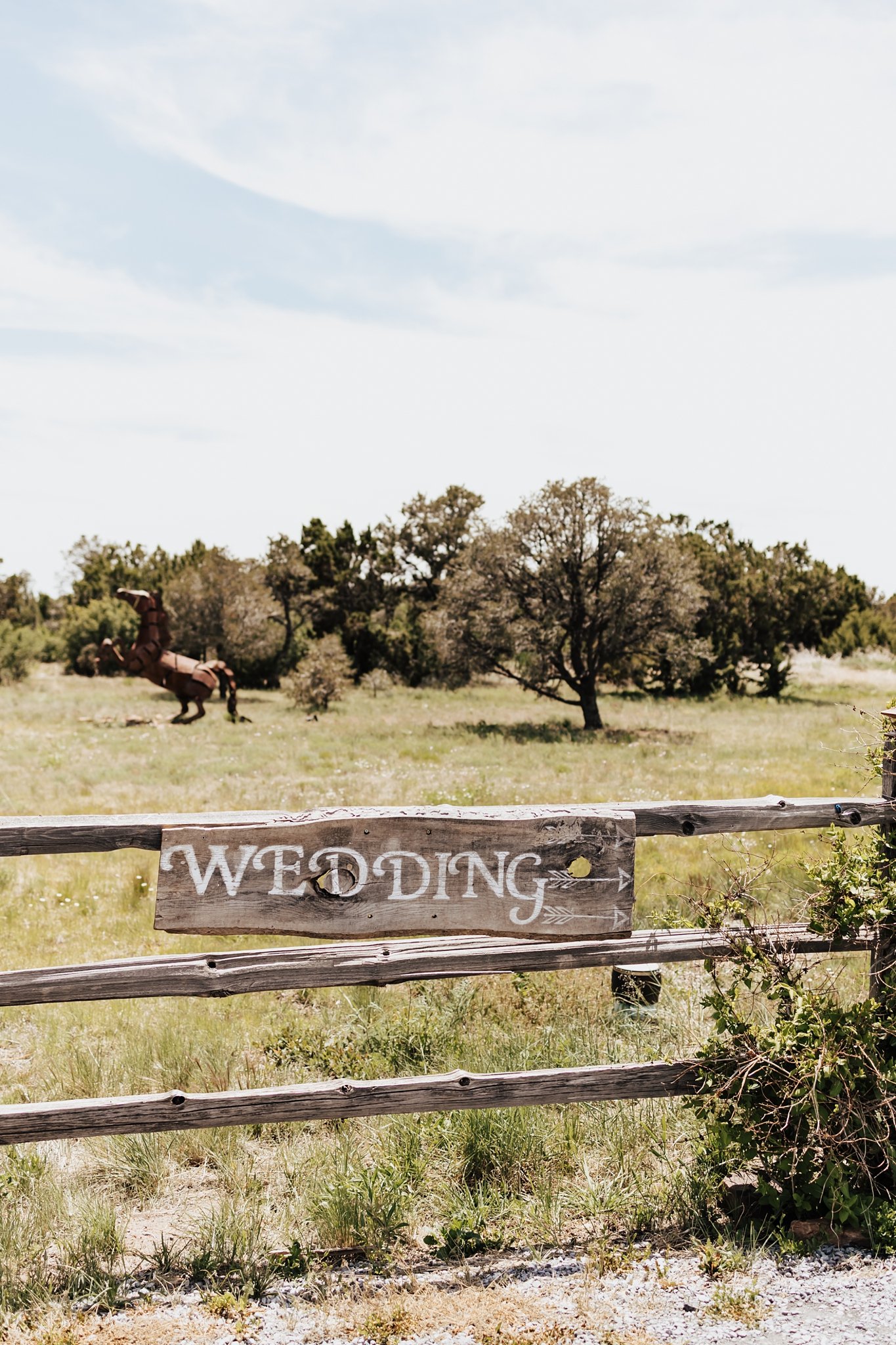Alicia+lucia+photography+-+desert+wedding+-+blame+her+ranch+wedding+-+santa+fe+wedding+-+ranch+wedding_0101.jpg