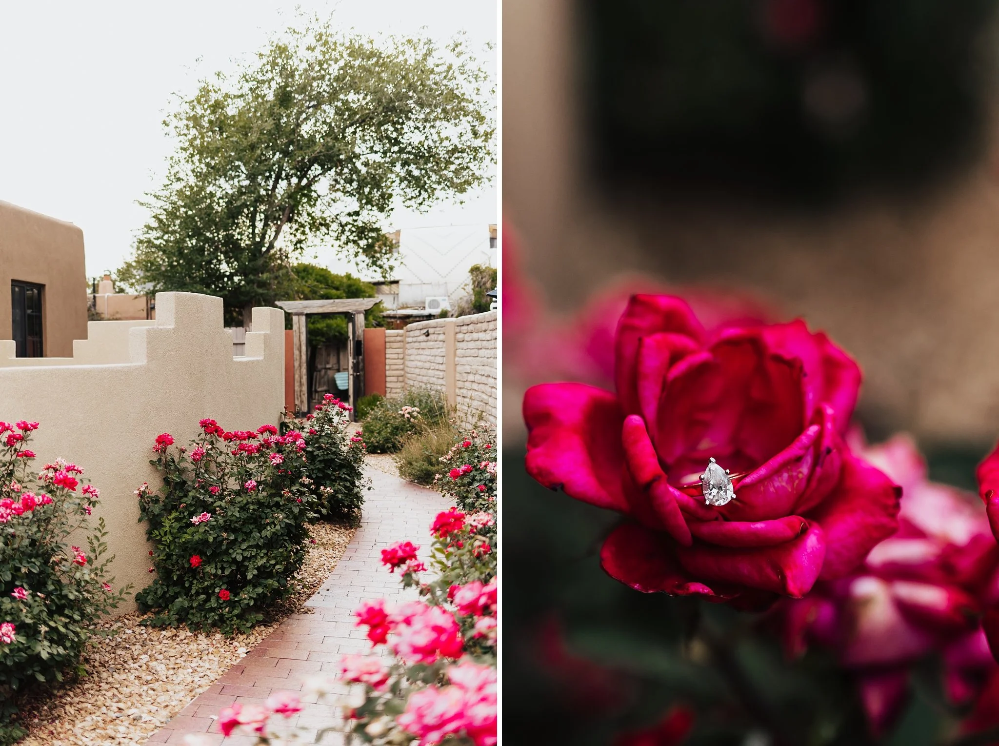 Alicia+lucia+photography+-+casas+de+suenos+-+casas+de+suenos+wedding+-+old+town+albuquerque+-+old+town+wedding_0062.jpg