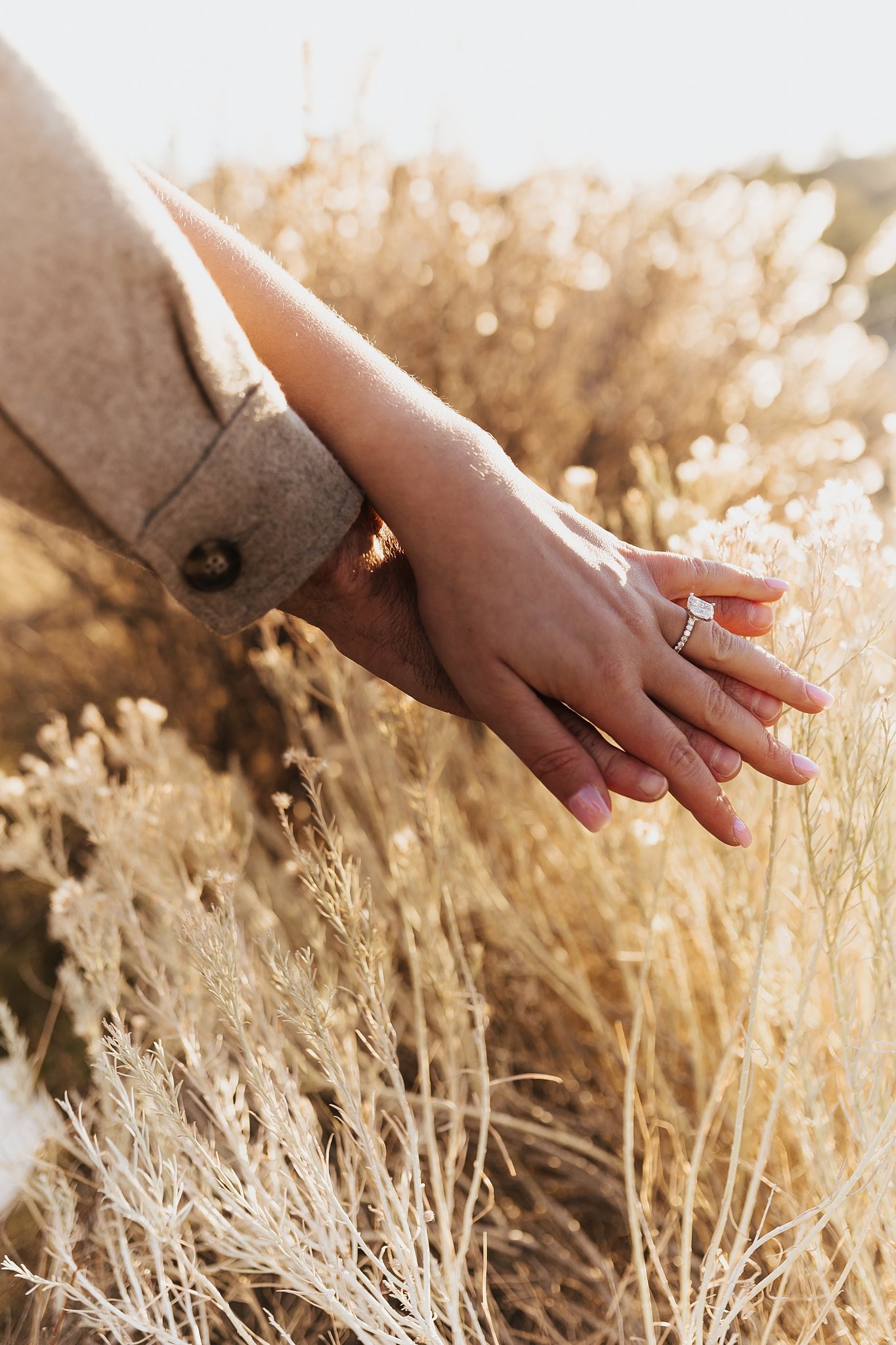 Alicia+lucia+photography+-+engagement+photography+-+desert+engagement+-+southwest+engagement+-+destination+engagement_0071.jpg