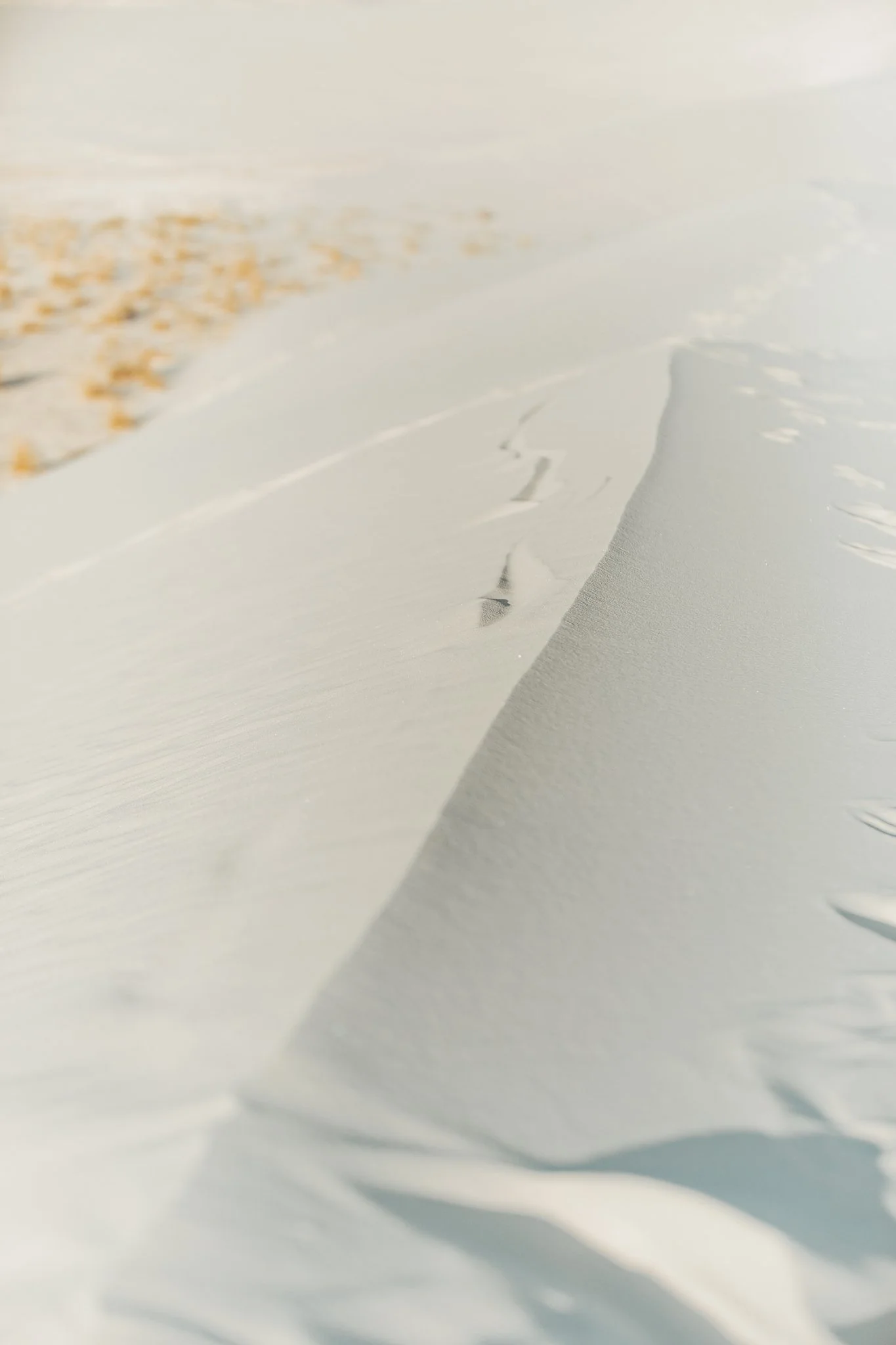 Alicia+lucia+photography+-+white+sands+national+park+-+white+sands+proposal+-+white+sands+wedding+-+white+sands+elopement_0002.jpg