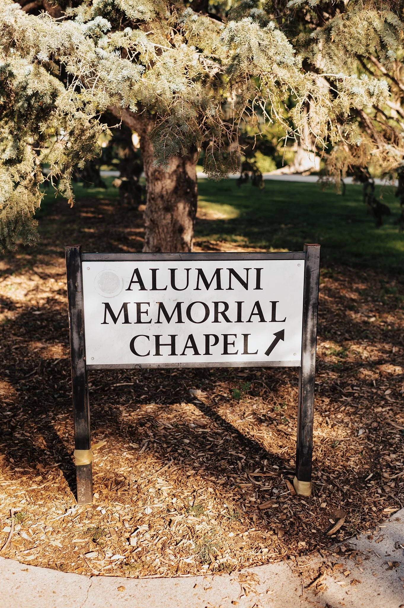 Alicia+lucia+photography+-+chapel+wedding+-+garden+wedding+-+unm+alumni+chapel_0002.jpg