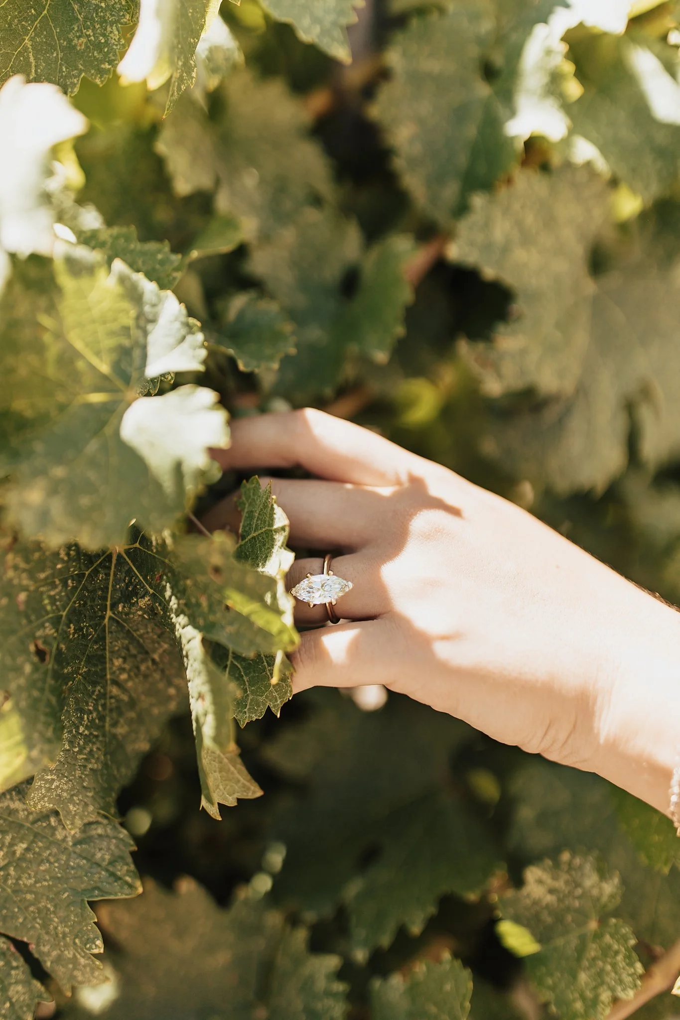 Alicia+lucia+photography+-+winery+engagement+-+casa+rondena+engagement+-+casa+rondena+wedding_0029.jpg
