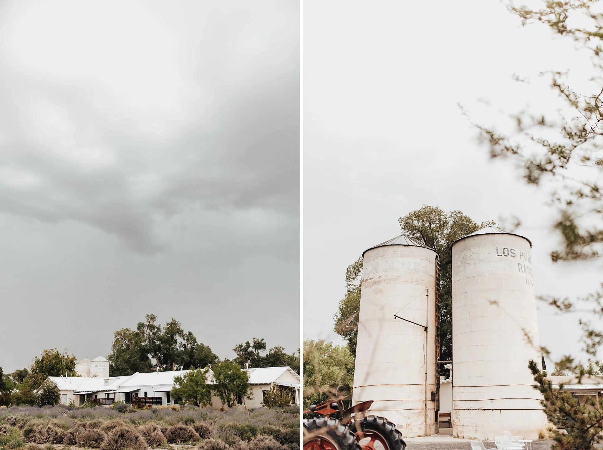 Alicia+lucia+photography+-+los+poblanos+wedding+-+los+poblanos+engagement+-+los+poblanos+farm_0002.jpg