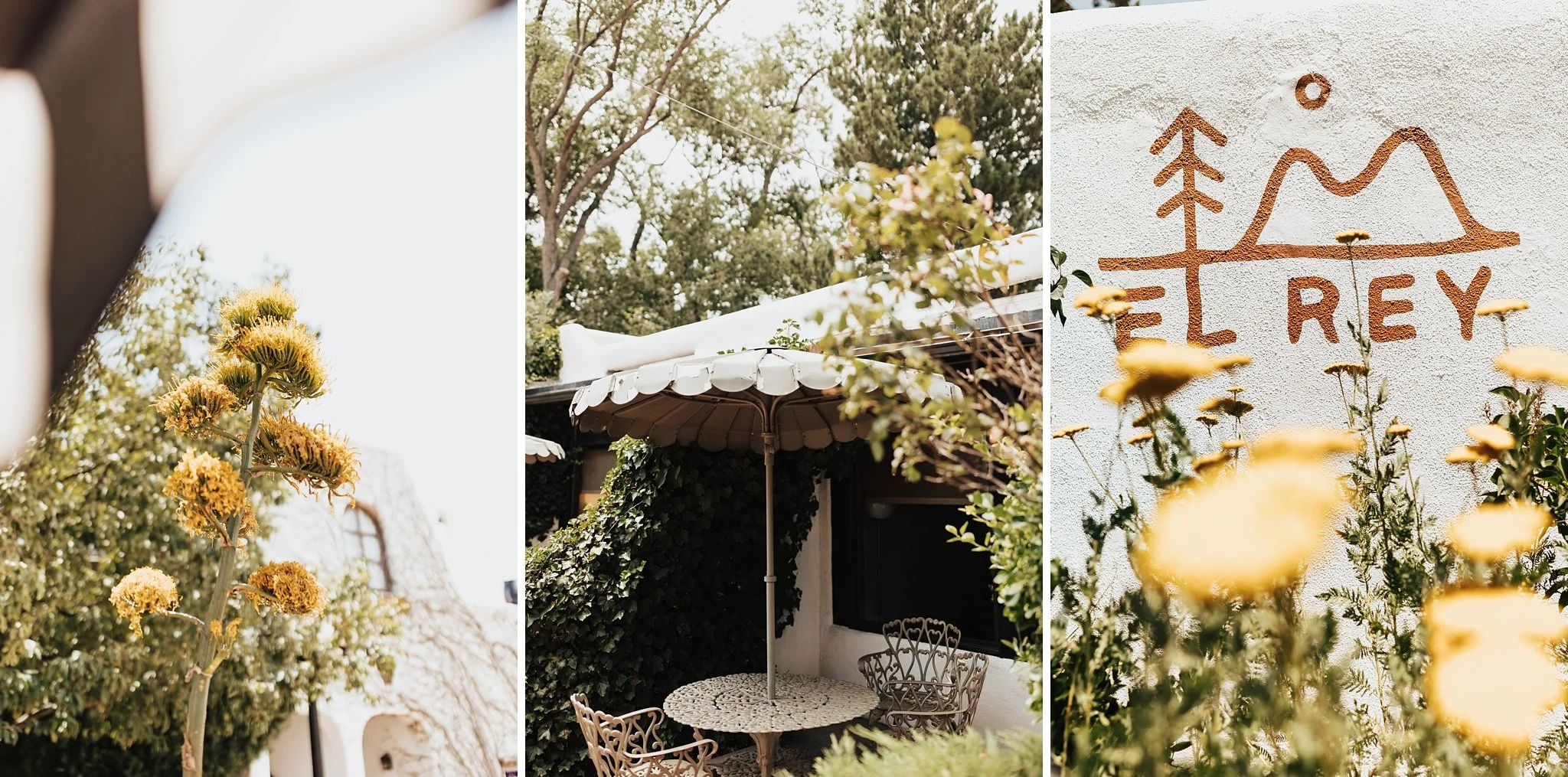Alicia+lucia+photography+-+hyde+state+park+-+forest+wedding+-+woodland+wedding+-+destination+wedding_0005.jpg
