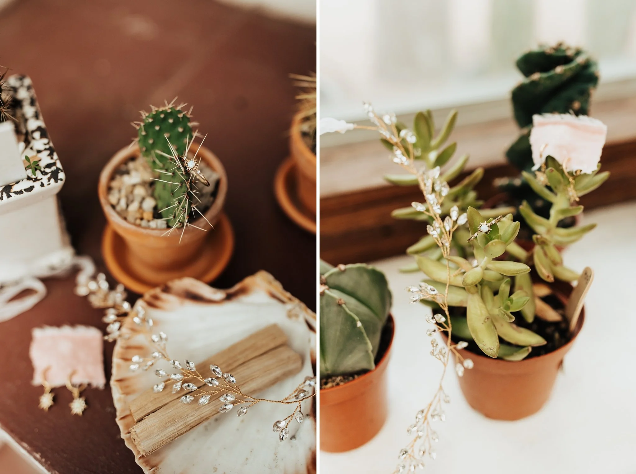 Alicia+lucia+photography+-+hyde+state+park+-+forest+wedding+-+woodland+wedding+-+destination+wedding_0011.jpg