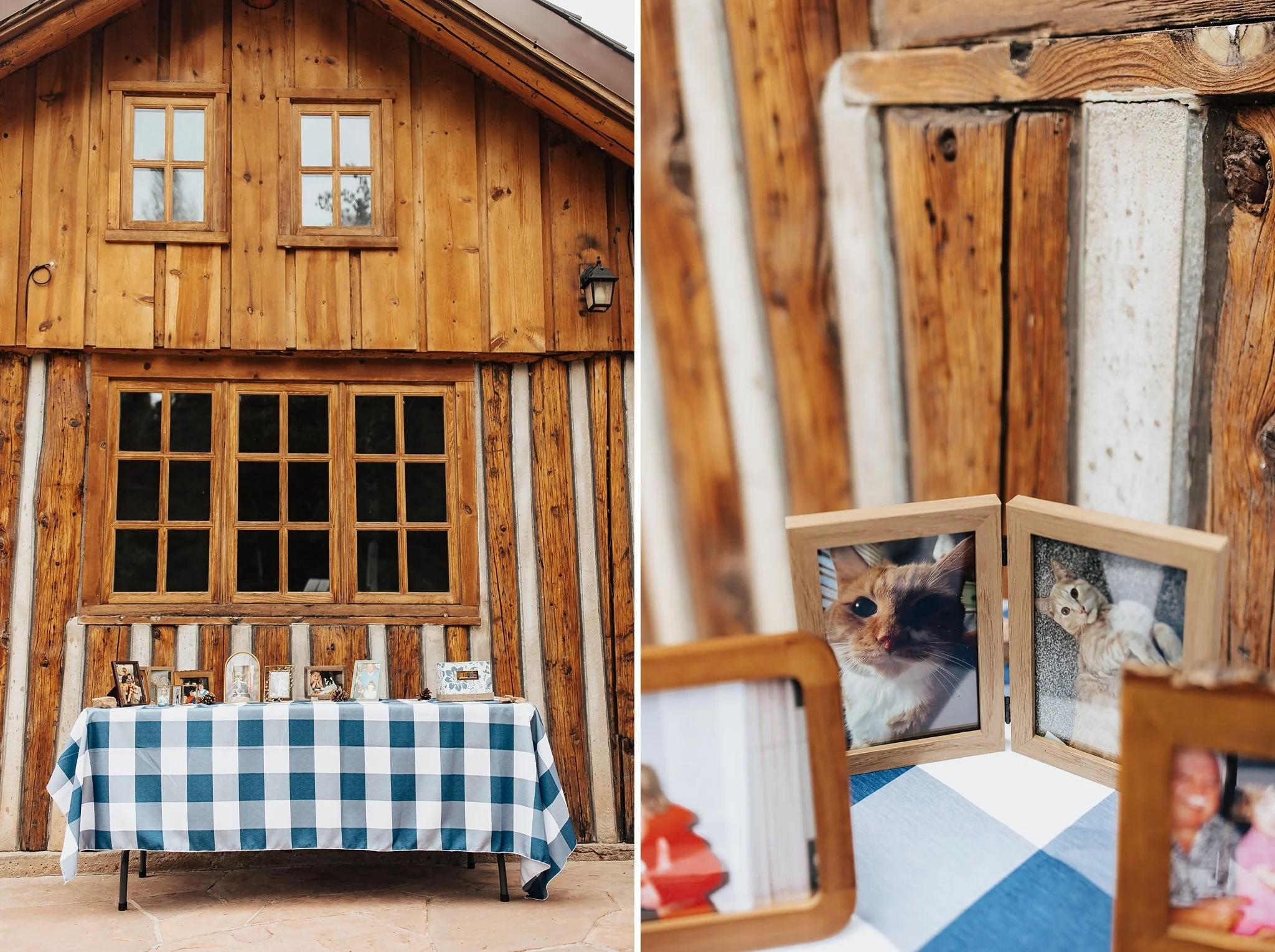 Alicia+lucia+photography+-+hyde+state+park+-+forest+wedding+-+woodland+wedding+-+destination+wedding_0051.jpg