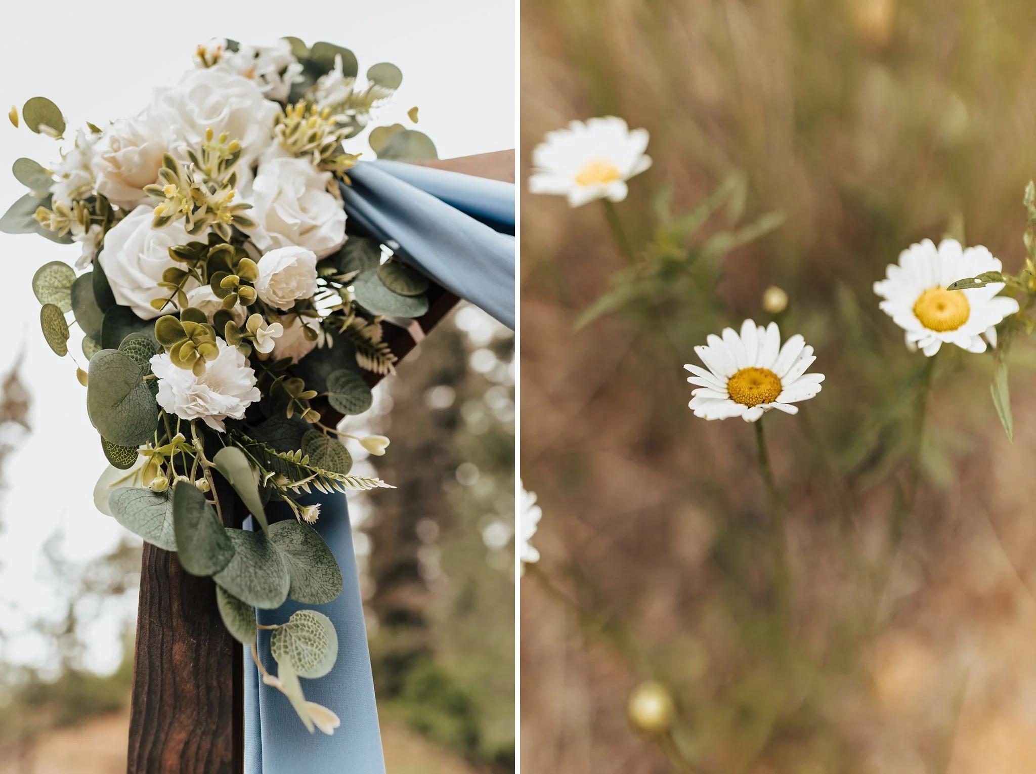 Alicia+lucia+photography+-+hyde+state+park+-+forest+wedding+-+woodland+wedding+-+destination+wedding_0054.jpg