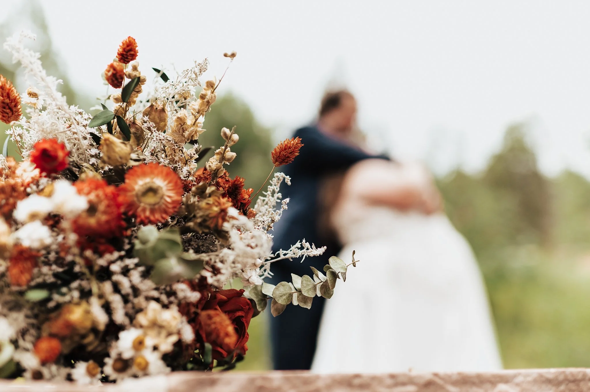 Alicia+lucia+photography+-+hyde+state+park+-+forest+wedding+-+woodland+wedding+-+destination+wedding_0092.jpg
