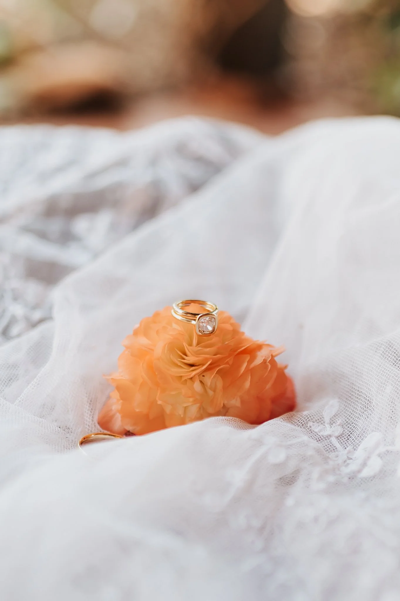 Alicia+lucia+photography+-+garden+wedding+-+gerald+peters+wedding+-+la+posada+wedding_0004.jpg