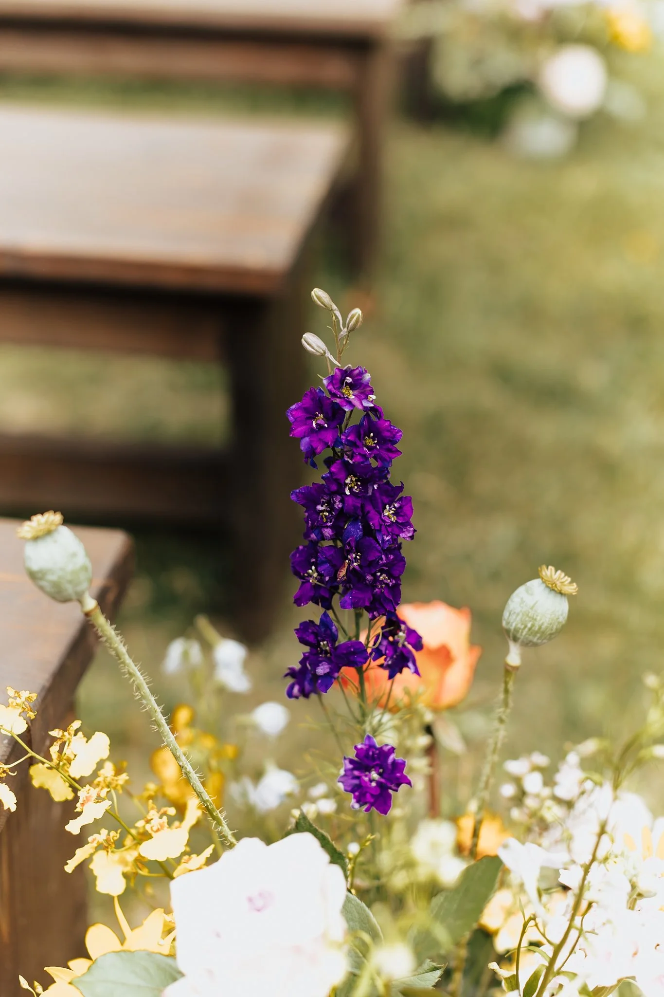 Alicia+lucia+photography+-+garden+wedding+-+gerald+peters+wedding+-+la+posada+wedding_0041.jpg