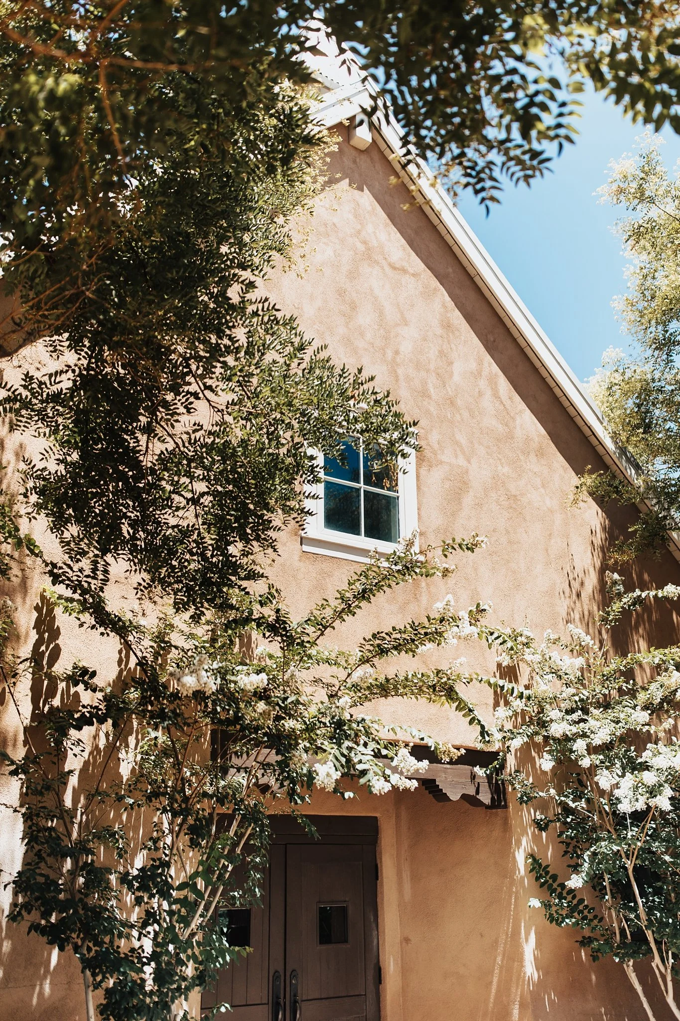 Alicia+lucia+photography+-+hotel+albuquerque+-+old+town+wedding+-+albuquerque+wedding_0004.jpg