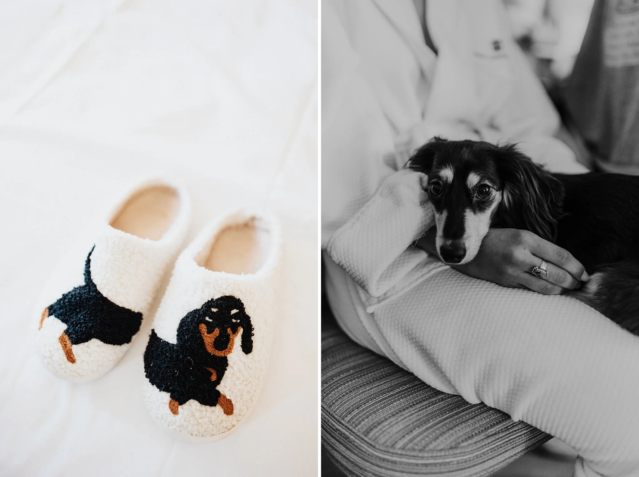 Alicia+lucia+photography+-+hotel+albuquerque+-+old+town+wedding+-+albuquerque+wedding_0011.jpg