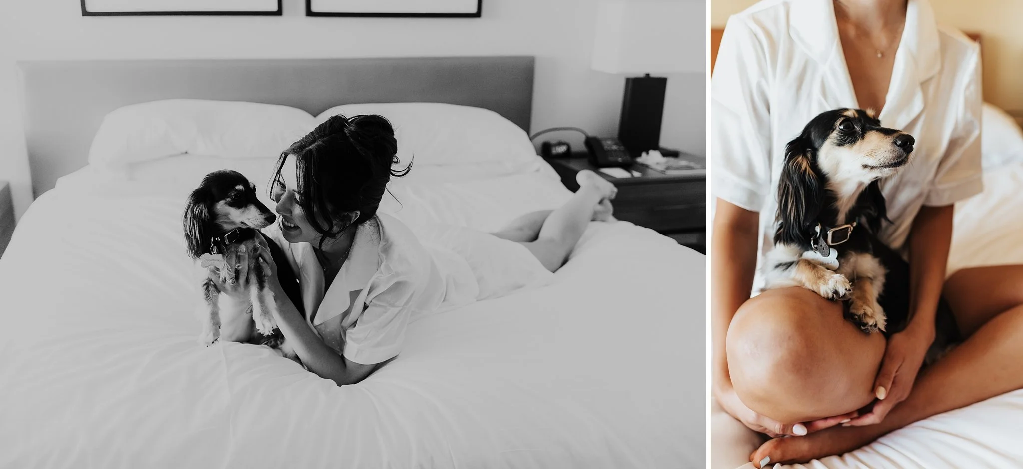 Alicia+lucia+photography+-+hotel+albuquerque+-+old+town+wedding+-+albuquerque+wedding_0014.jpg