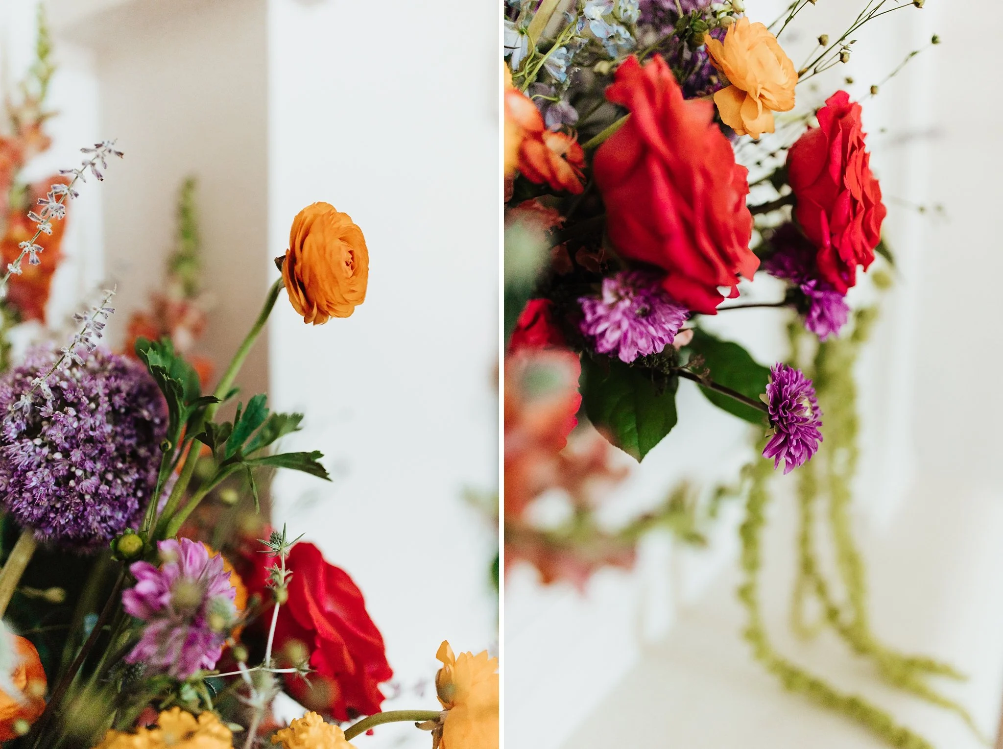 Alicia+lucia+photography+-+hotel+albuquerque+-+old+town+wedding+-+albuquerque+wedding_0034.jpg