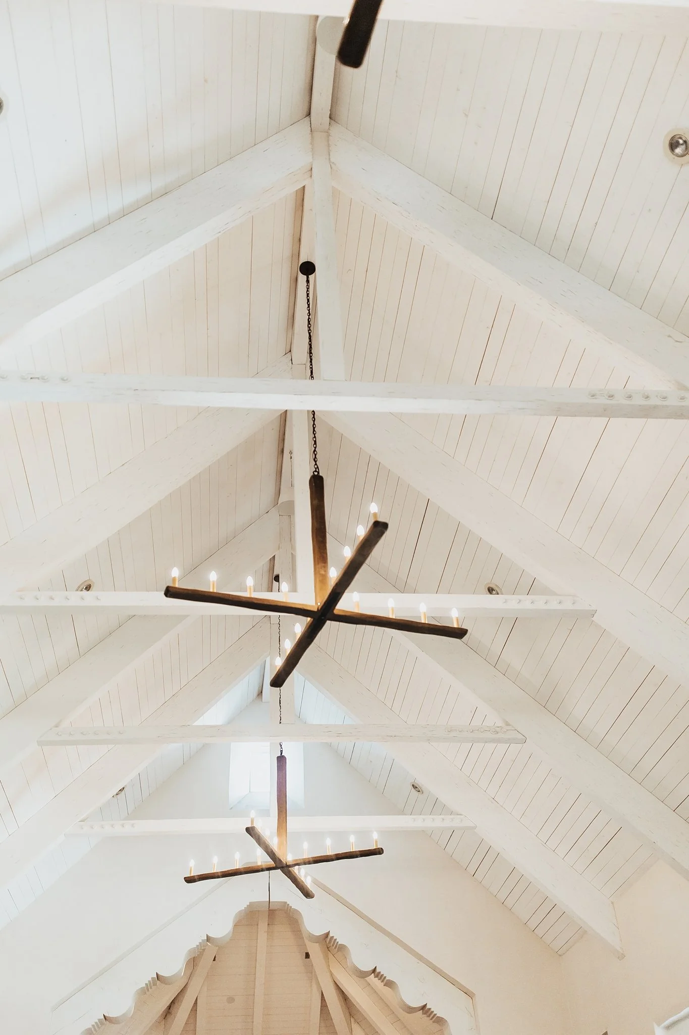 Alicia+lucia+photography+-+hotel+albuquerque+-+old+town+wedding+-+albuquerque+wedding_0036.jpg