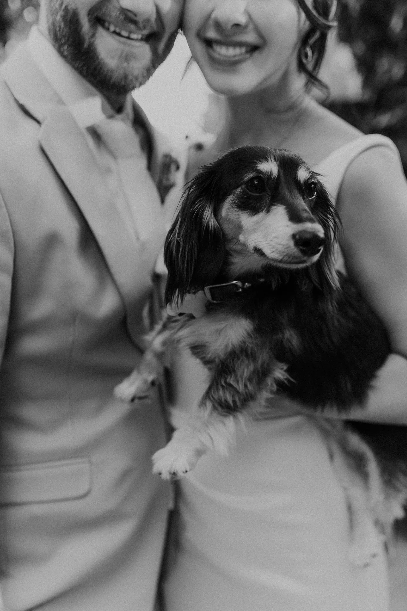 Alicia+lucia+photography+-+hotel+albuquerque+-+old+town+wedding+-+albuquerque+wedding_0074.jpg