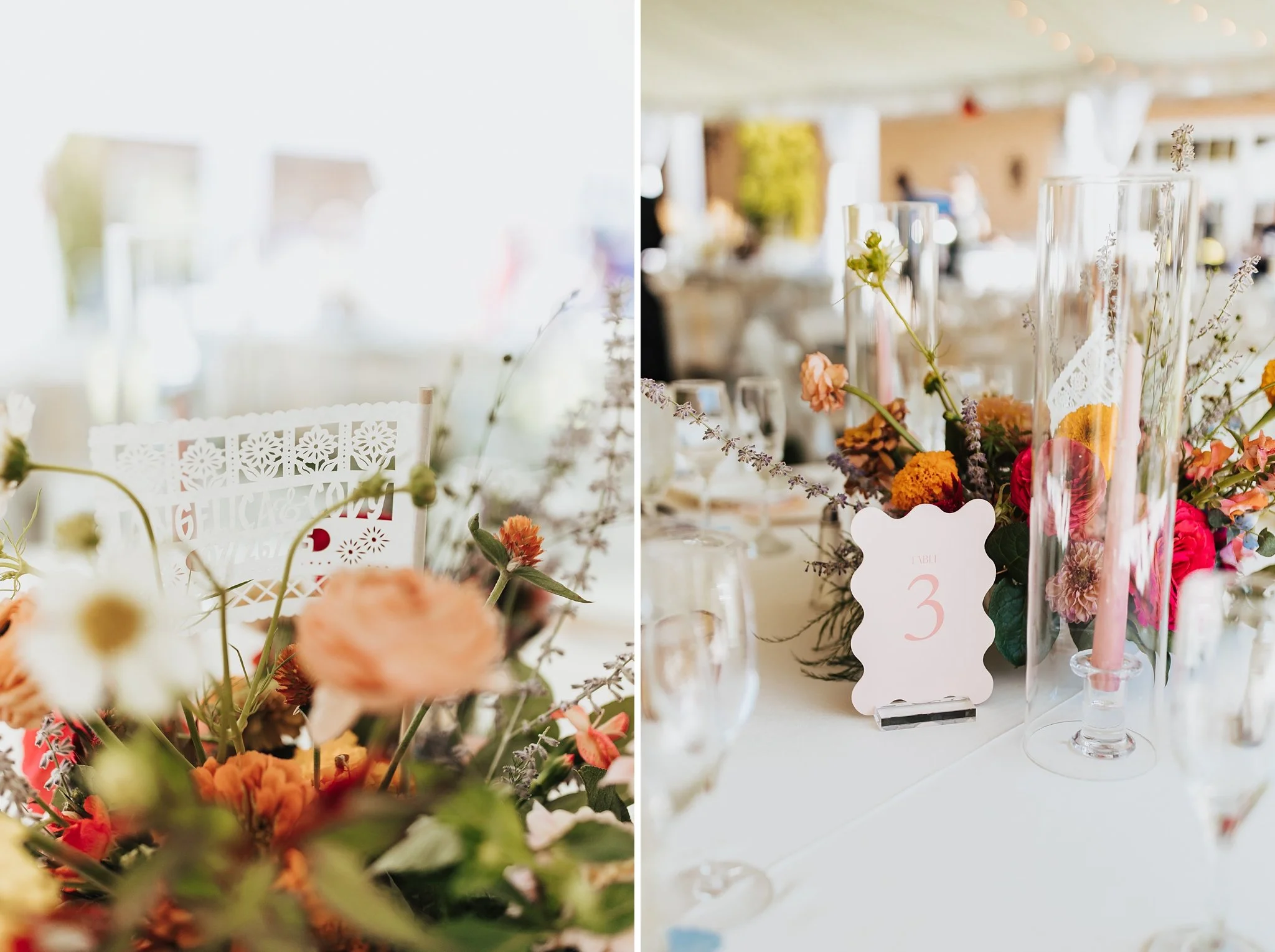 Alicia+lucia+photography+-+hotel+albuquerque+-+old+town+wedding+-+albuquerque+wedding_0106.jpg