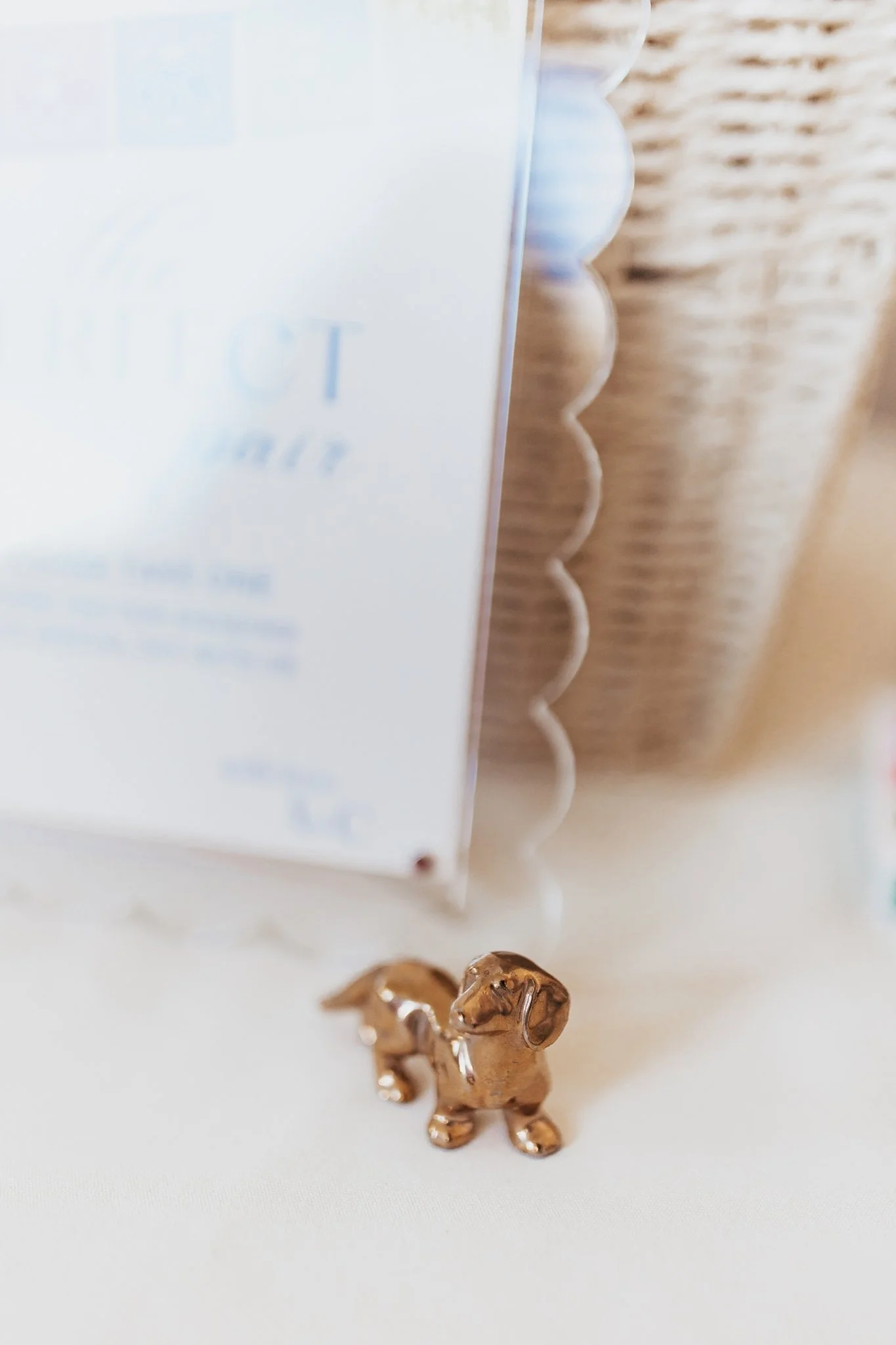 Alicia+lucia+photography+-+hotel+albuquerque+-+old+town+wedding+-+albuquerque+wedding_0118.jpg