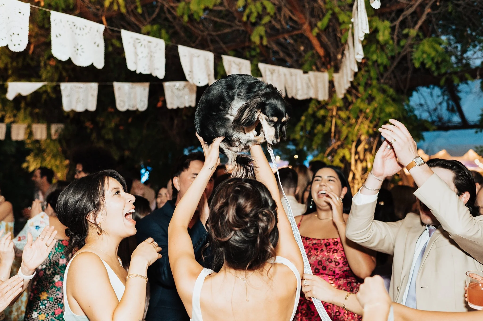 Alicia+lucia+photography+-+hotel+albuquerque+-+old+town+wedding+-+albuquerque+wedding_0143.jpg