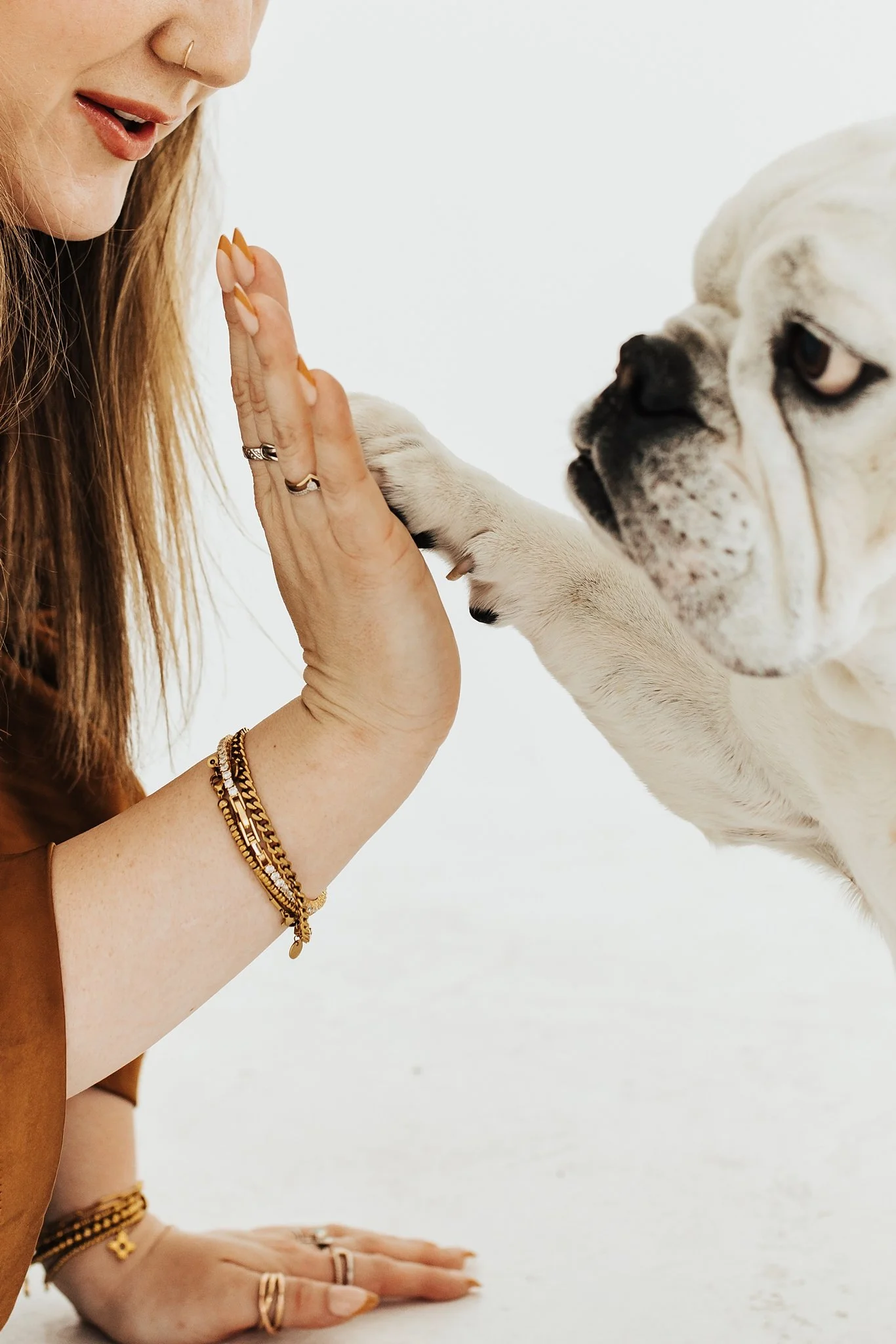 Alicia+lucia+photography+-+portrait+session+-+dog+portrait+photography+-+studio+photography_0010.jpg