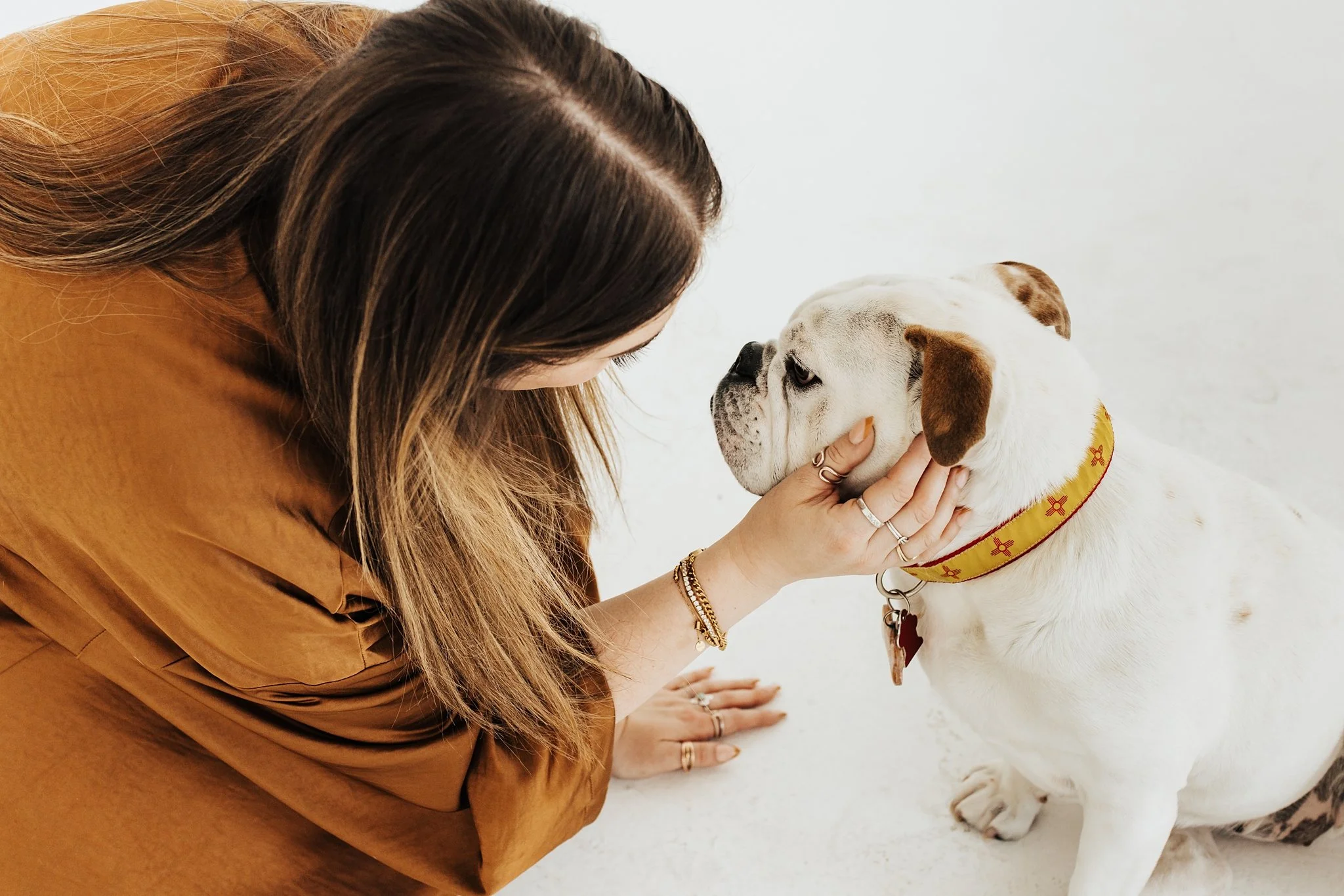 Alicia+lucia+photography+-+portrait+session+-+dog+portrait+photography+-+studio+photography_0011.jpg