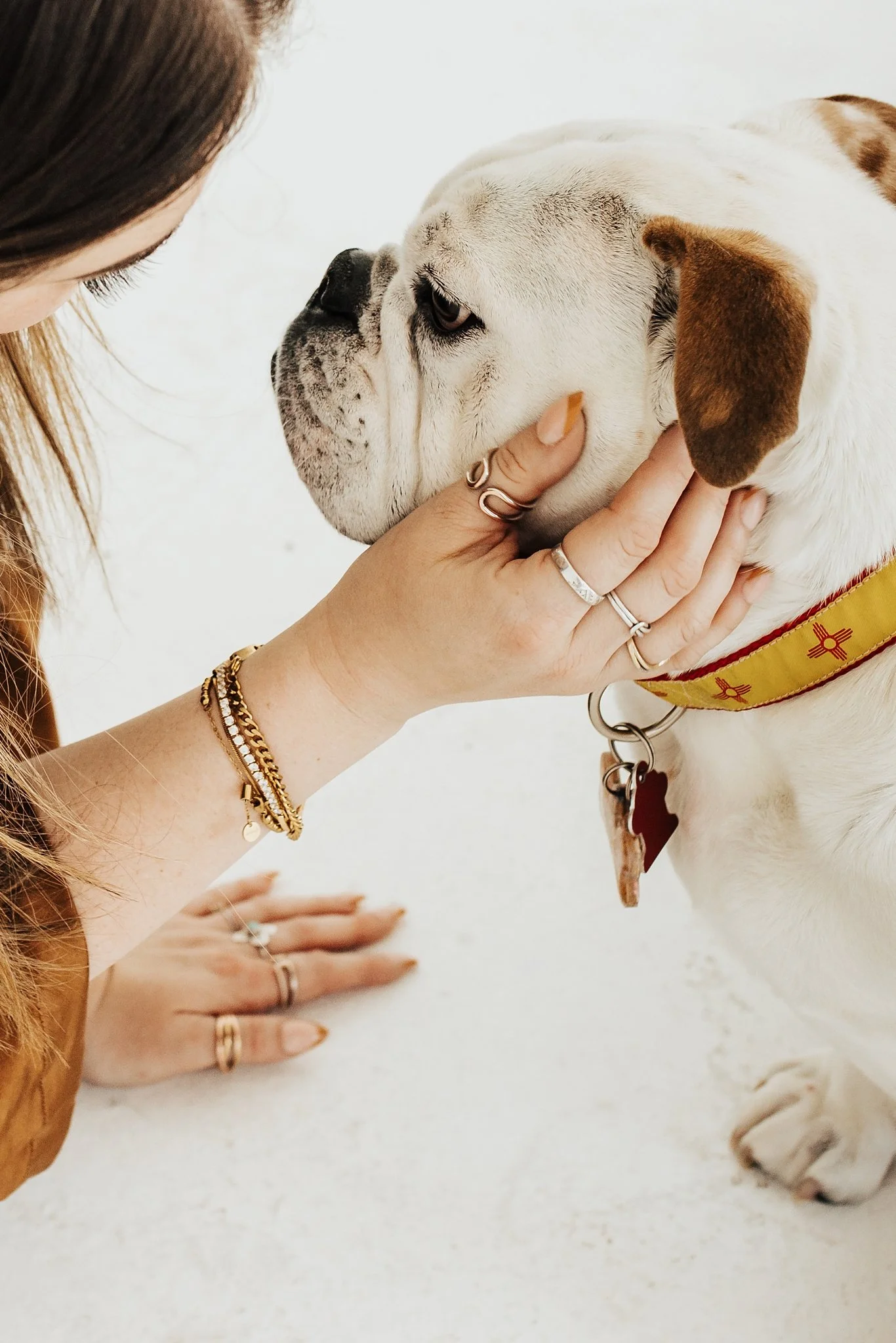 Alicia+lucia+photography+-+portrait+session+-+dog+portrait+photography+-+studio+photography_0012.jpg
