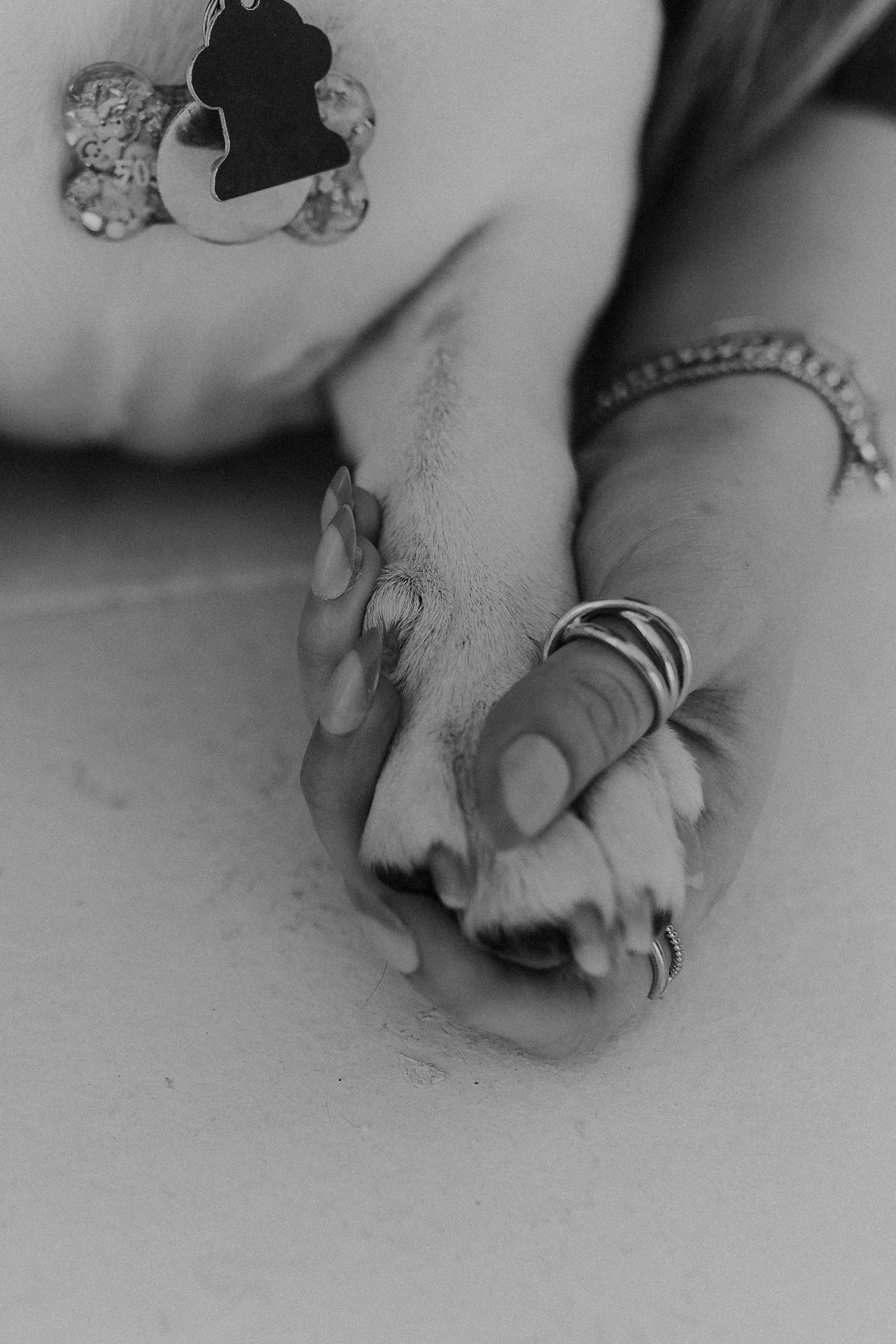 Alicia+lucia+photography+-+portrait+session+-+dog+portrait+photography+-+studio+photography_0025.jpg
